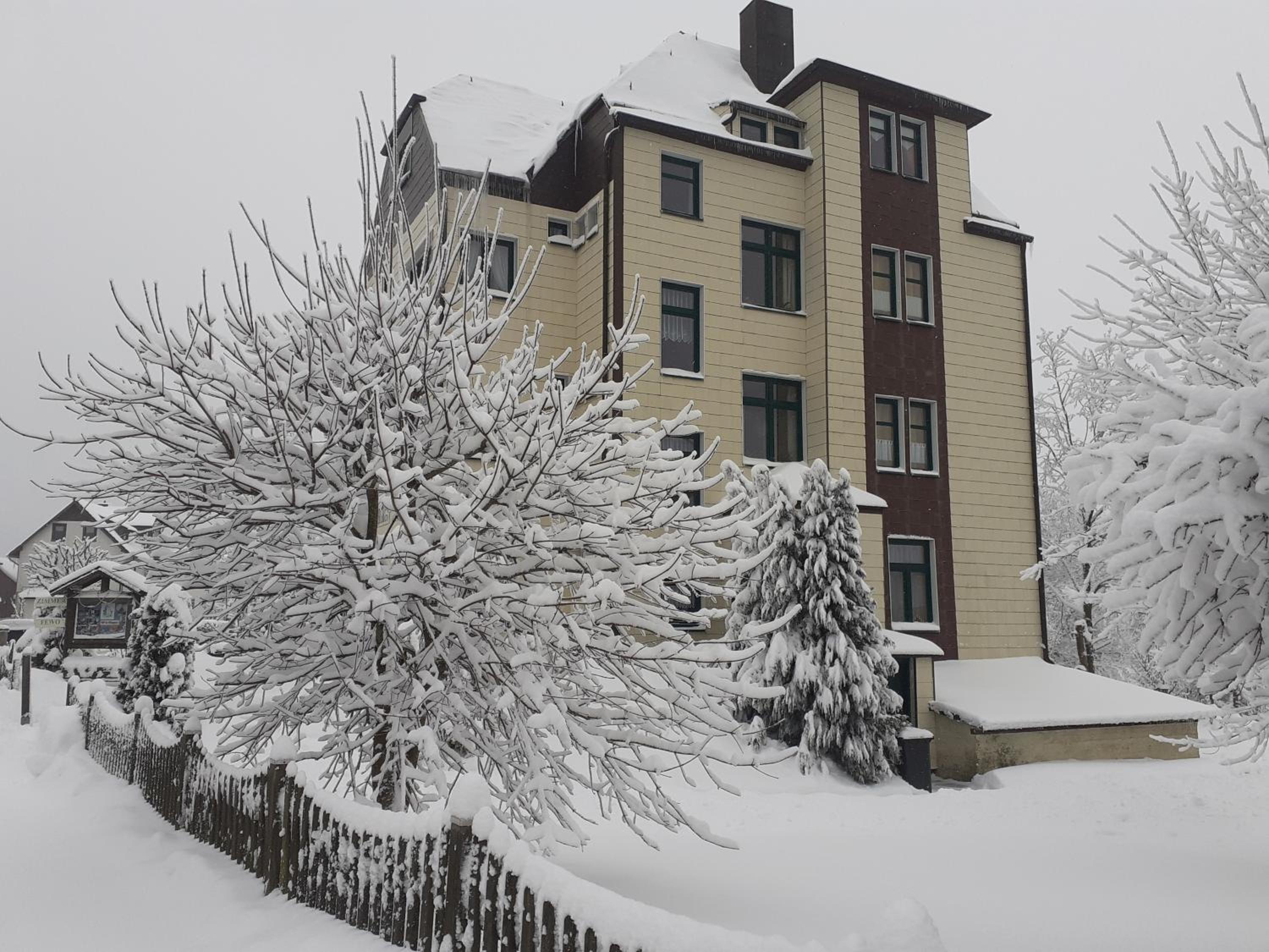 Pension Villa Immergrün