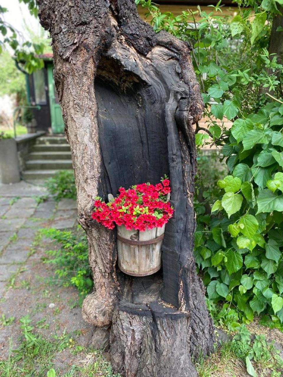 Old Summer House with renovated bathroom