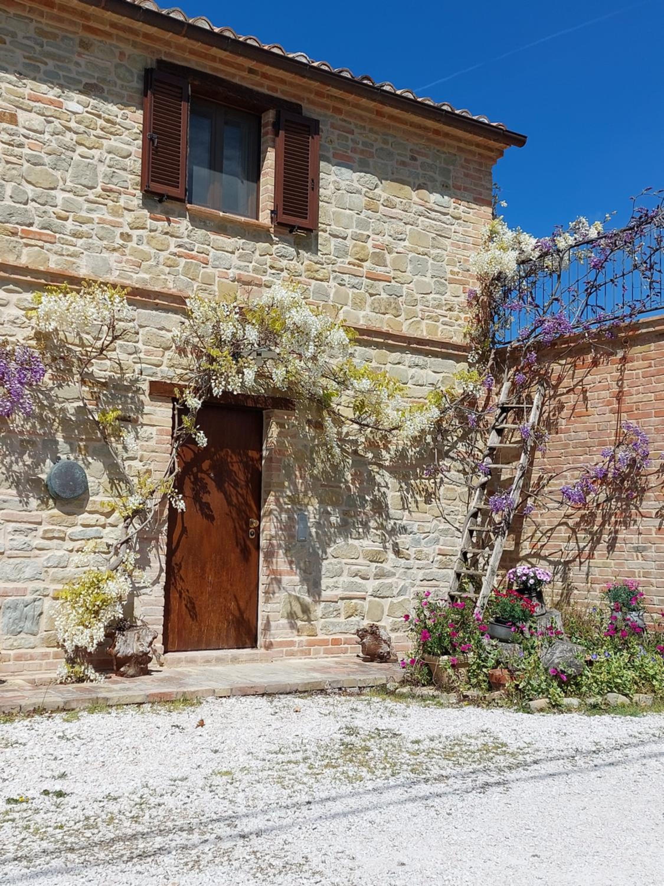 Casale San Martino Agriturismo Bio view 4