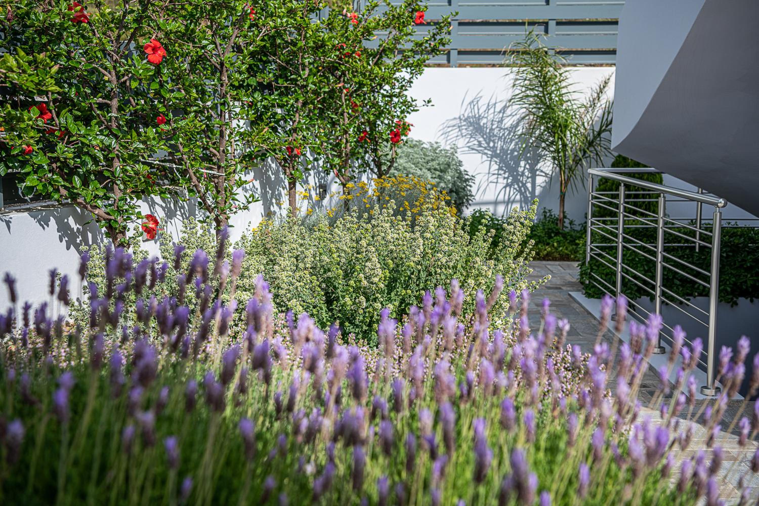 Hotel Sunset Elafonisi Apartments - Image 1