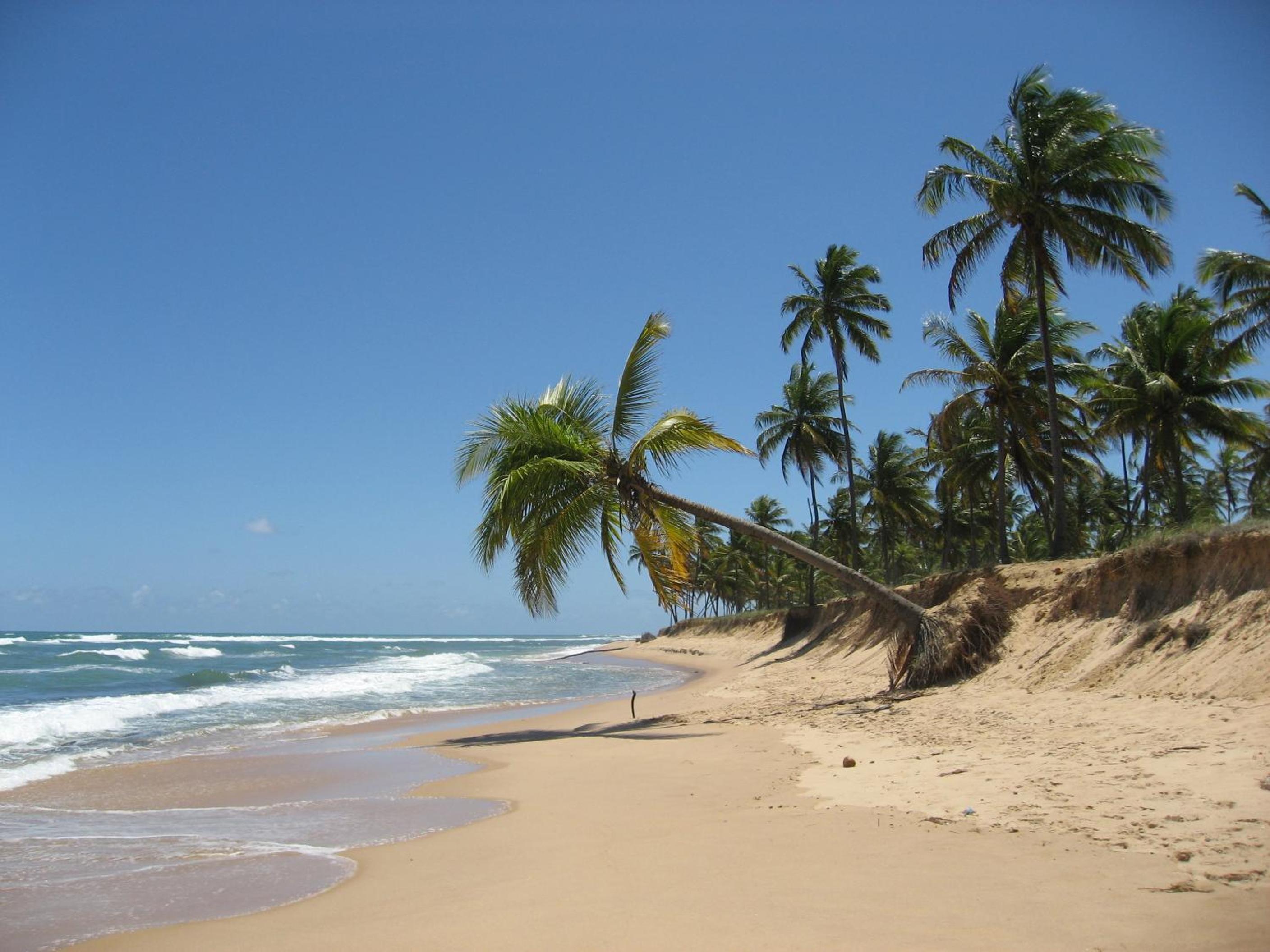 Paribahia view 2