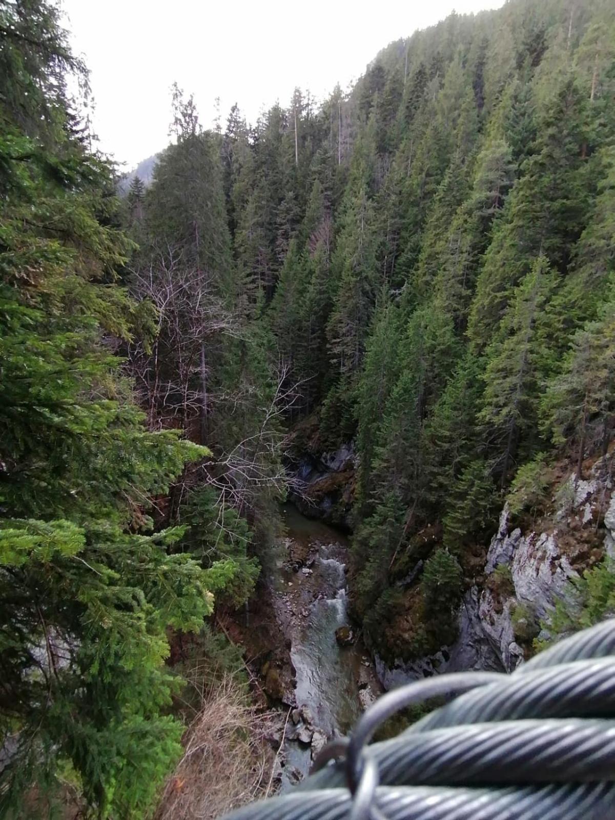 Photo 34