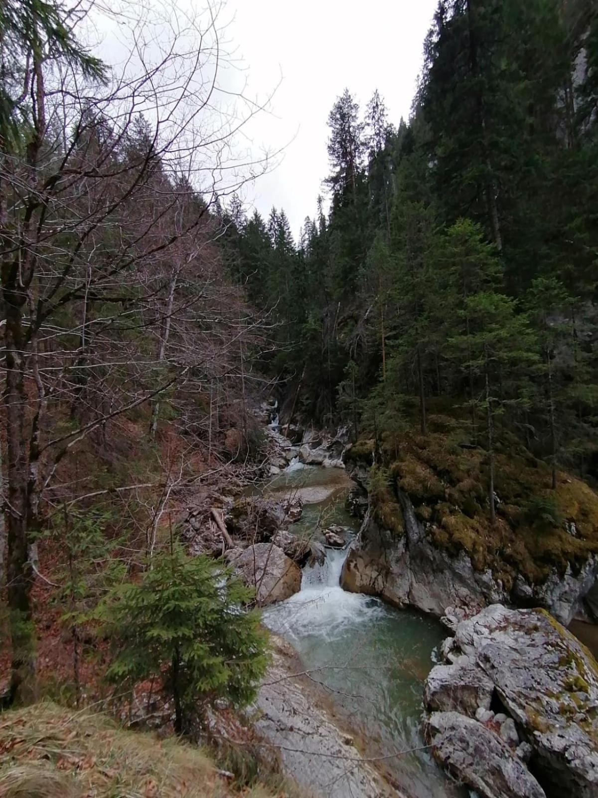Photo 36