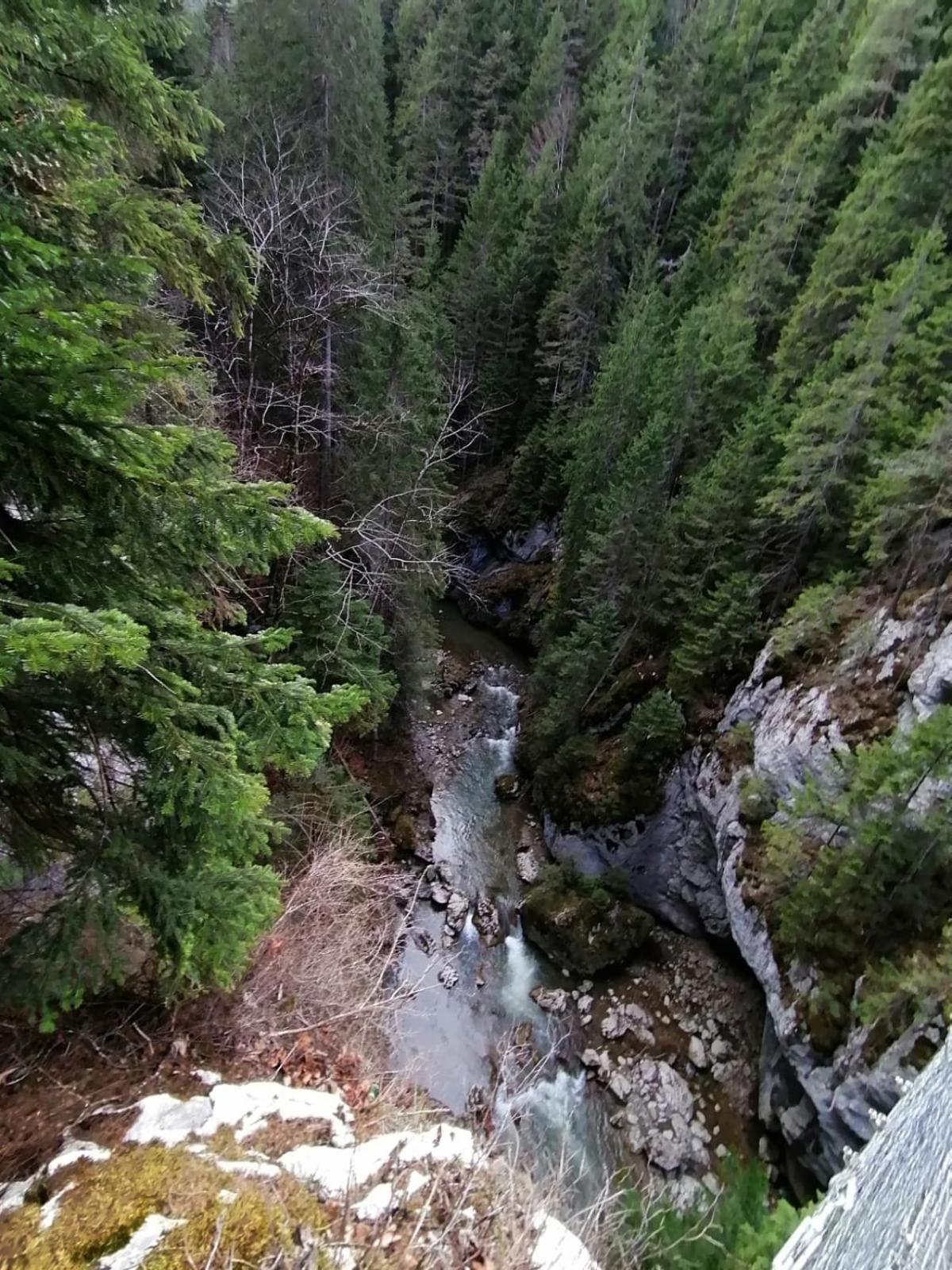Photo 38