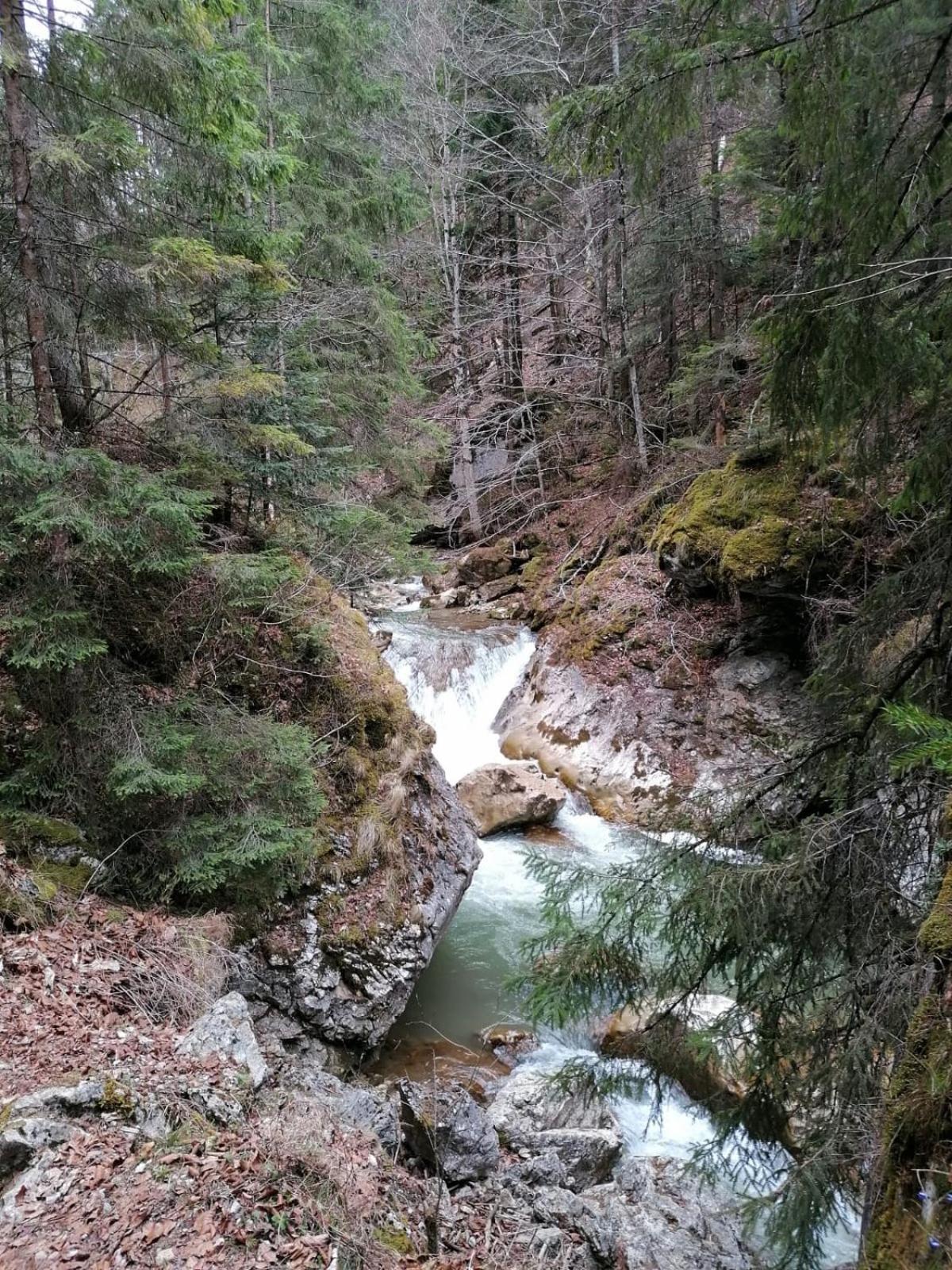 Photo 44