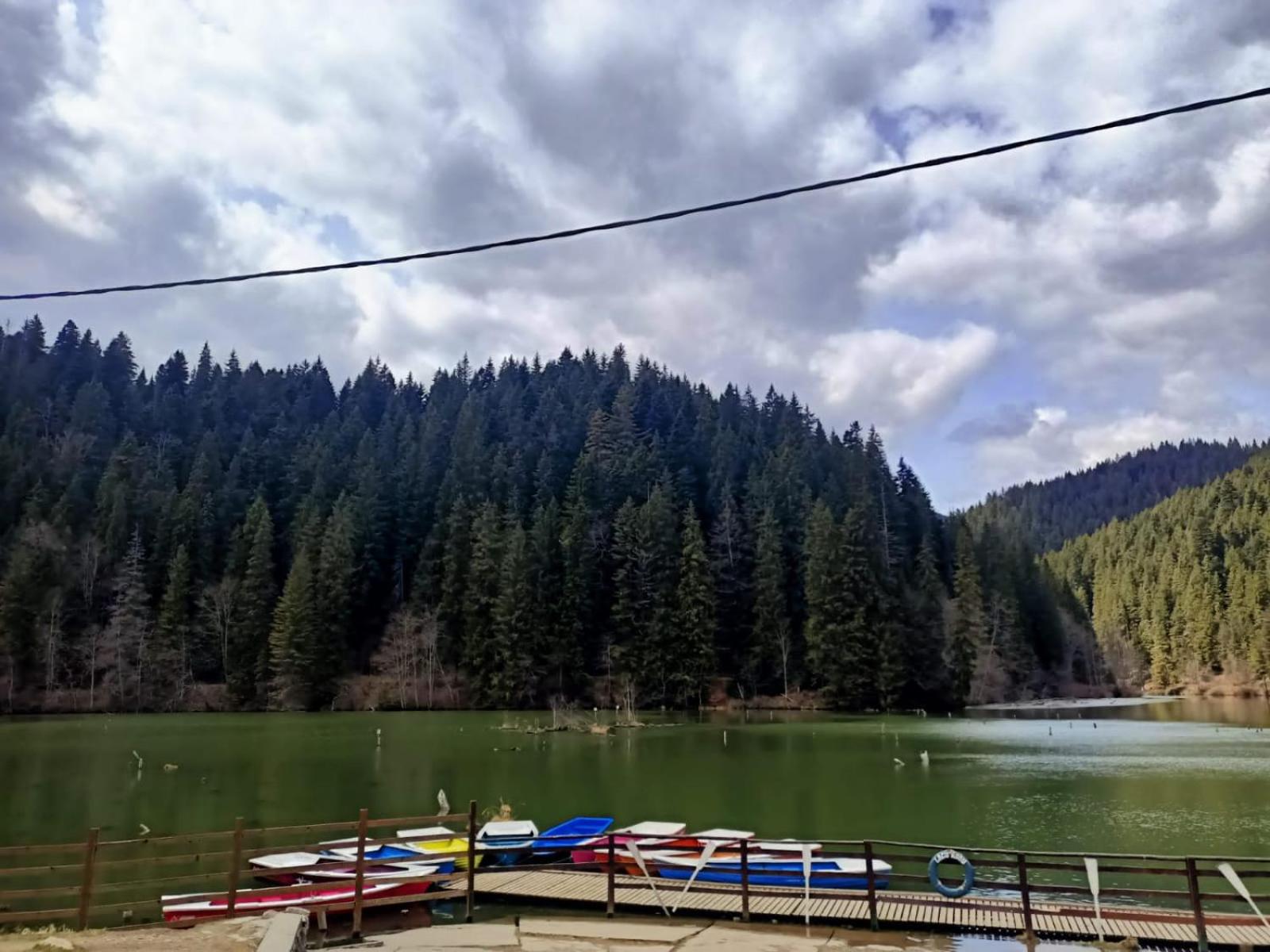 Photo 45
