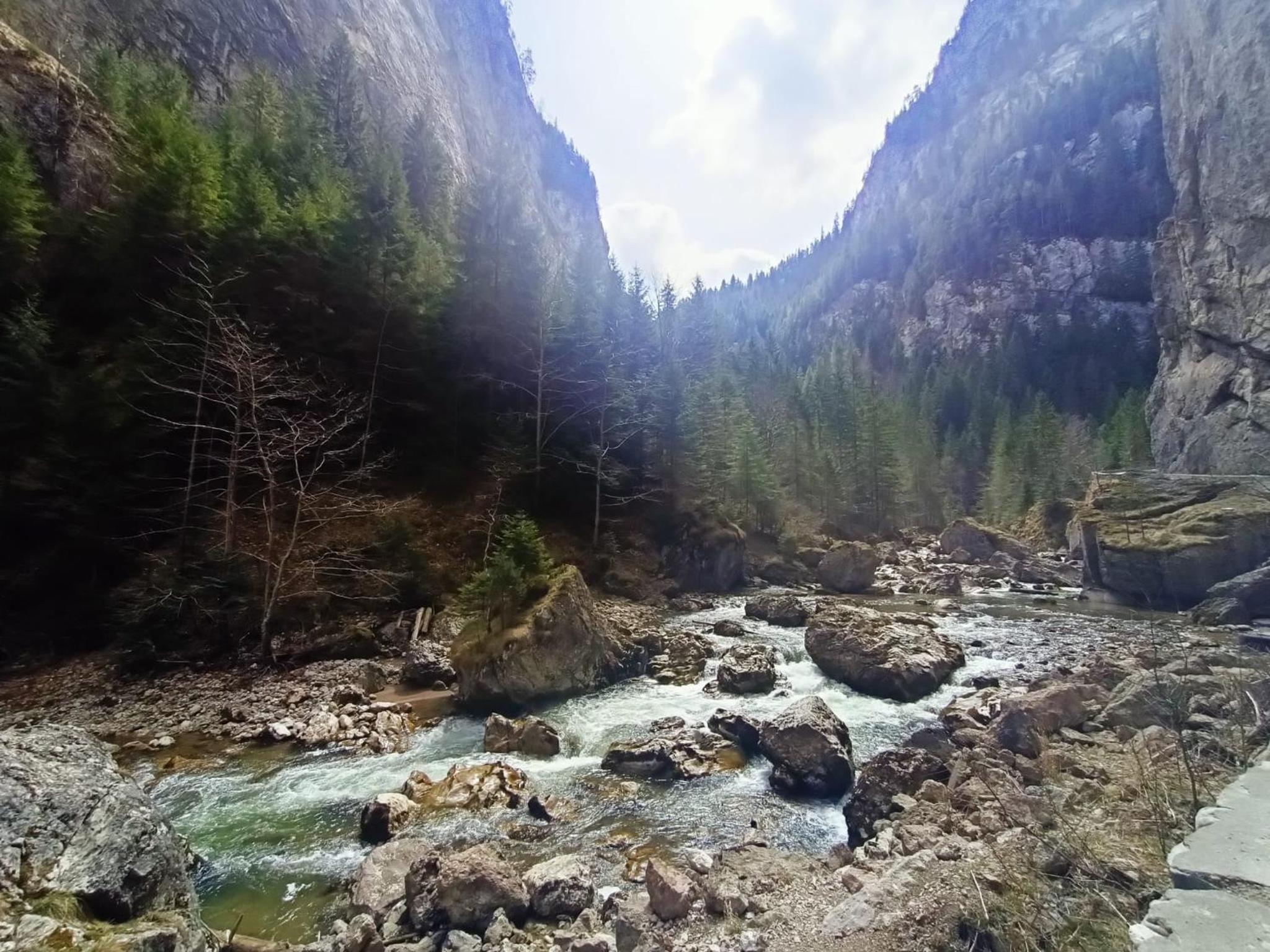 Photo 46