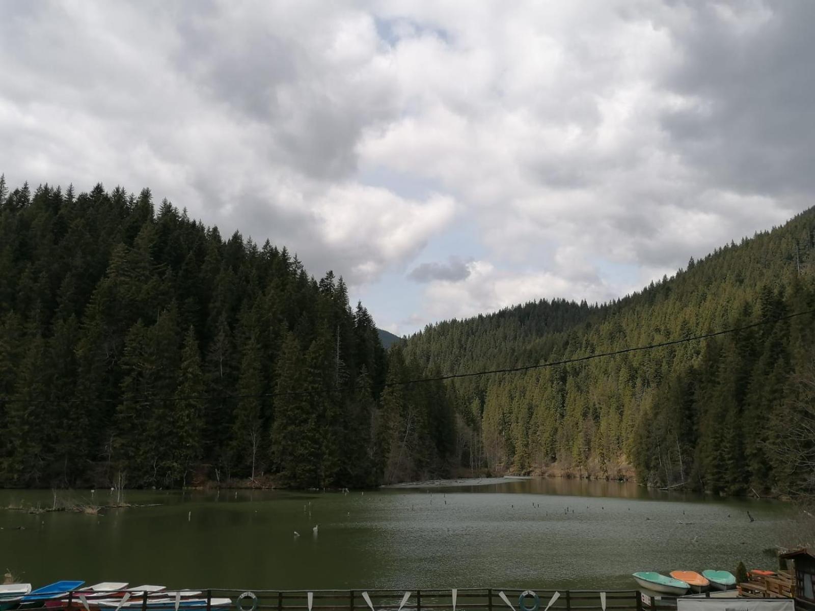 Photo 49