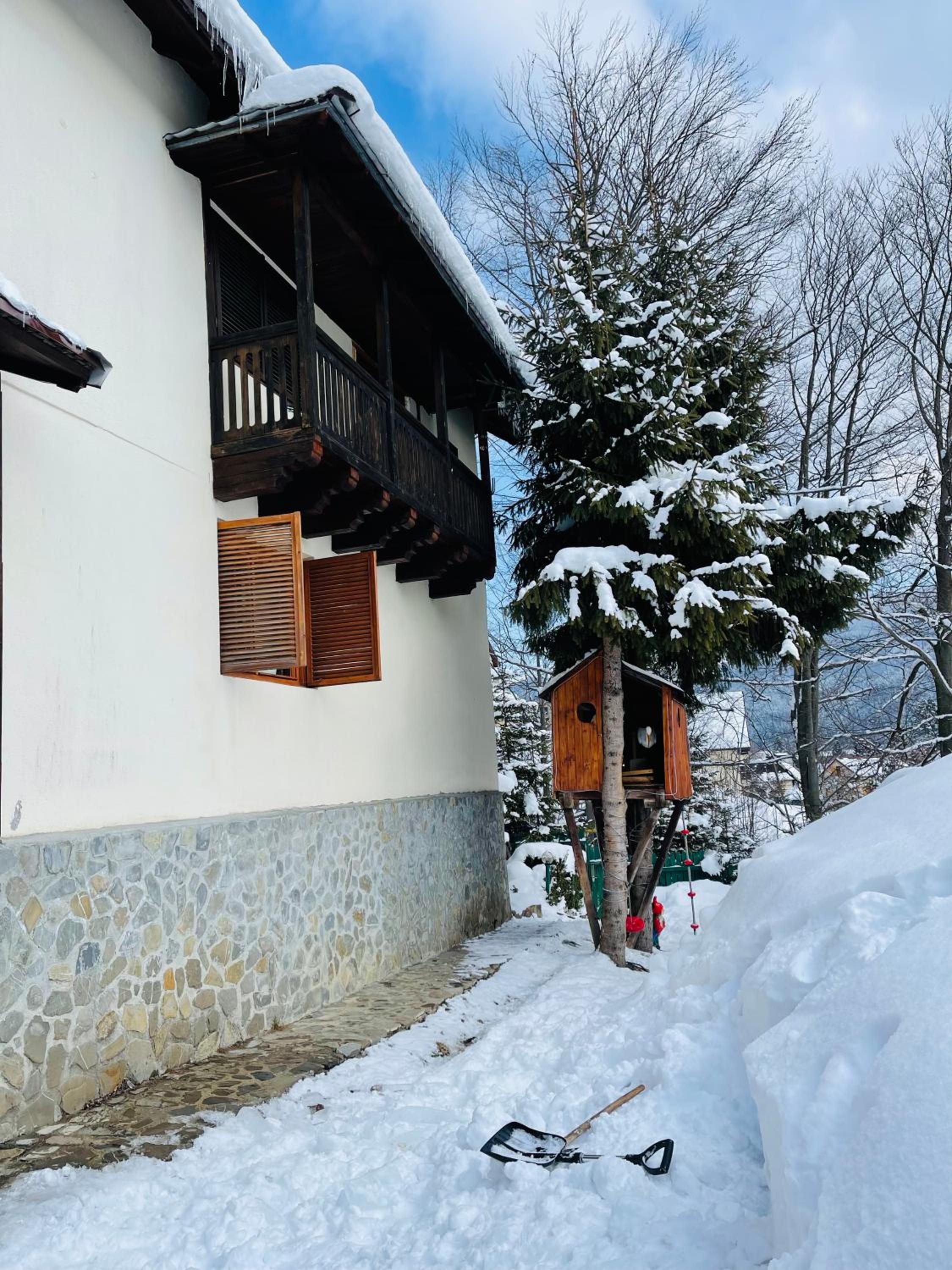 Casa Renilor