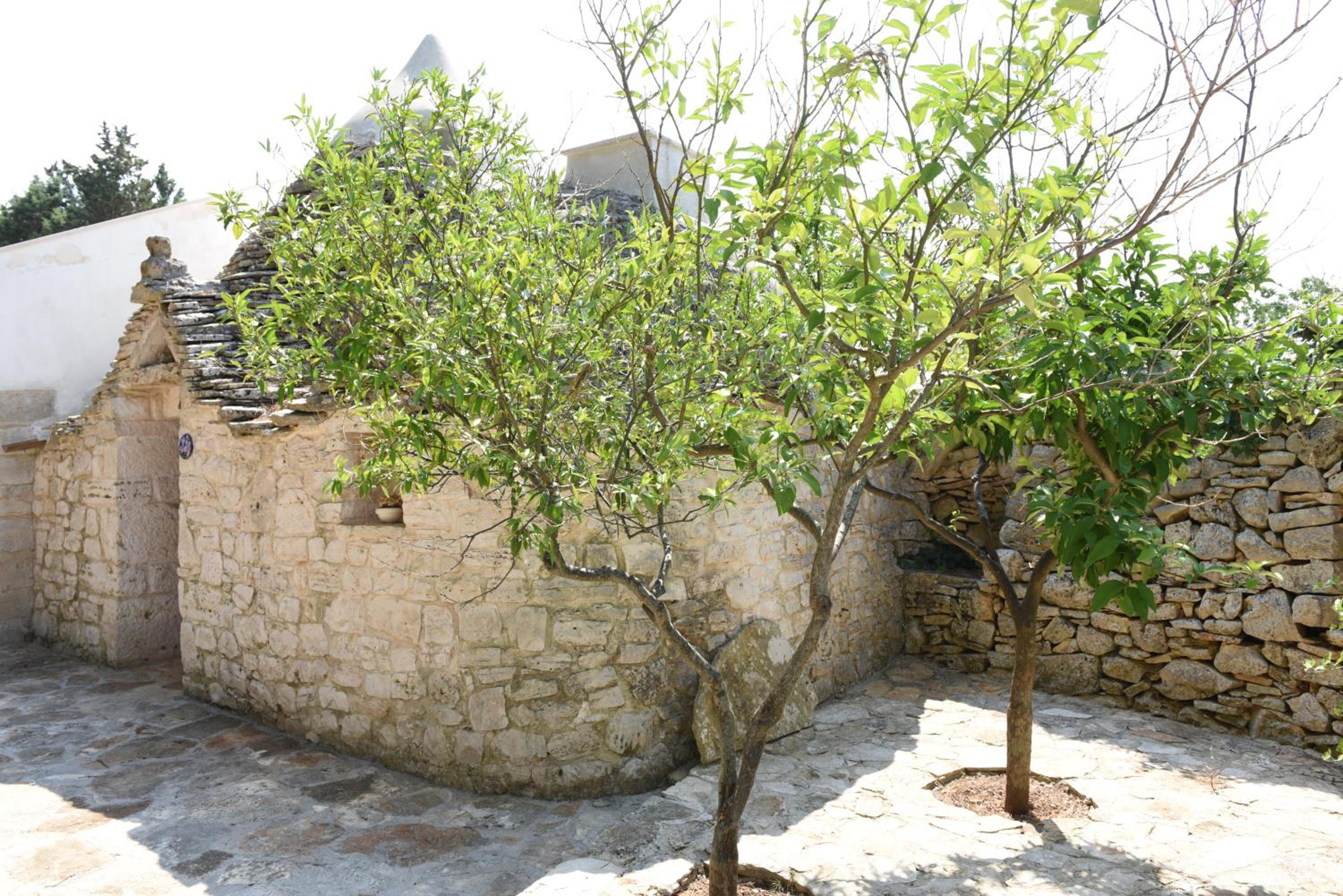 Photo 52