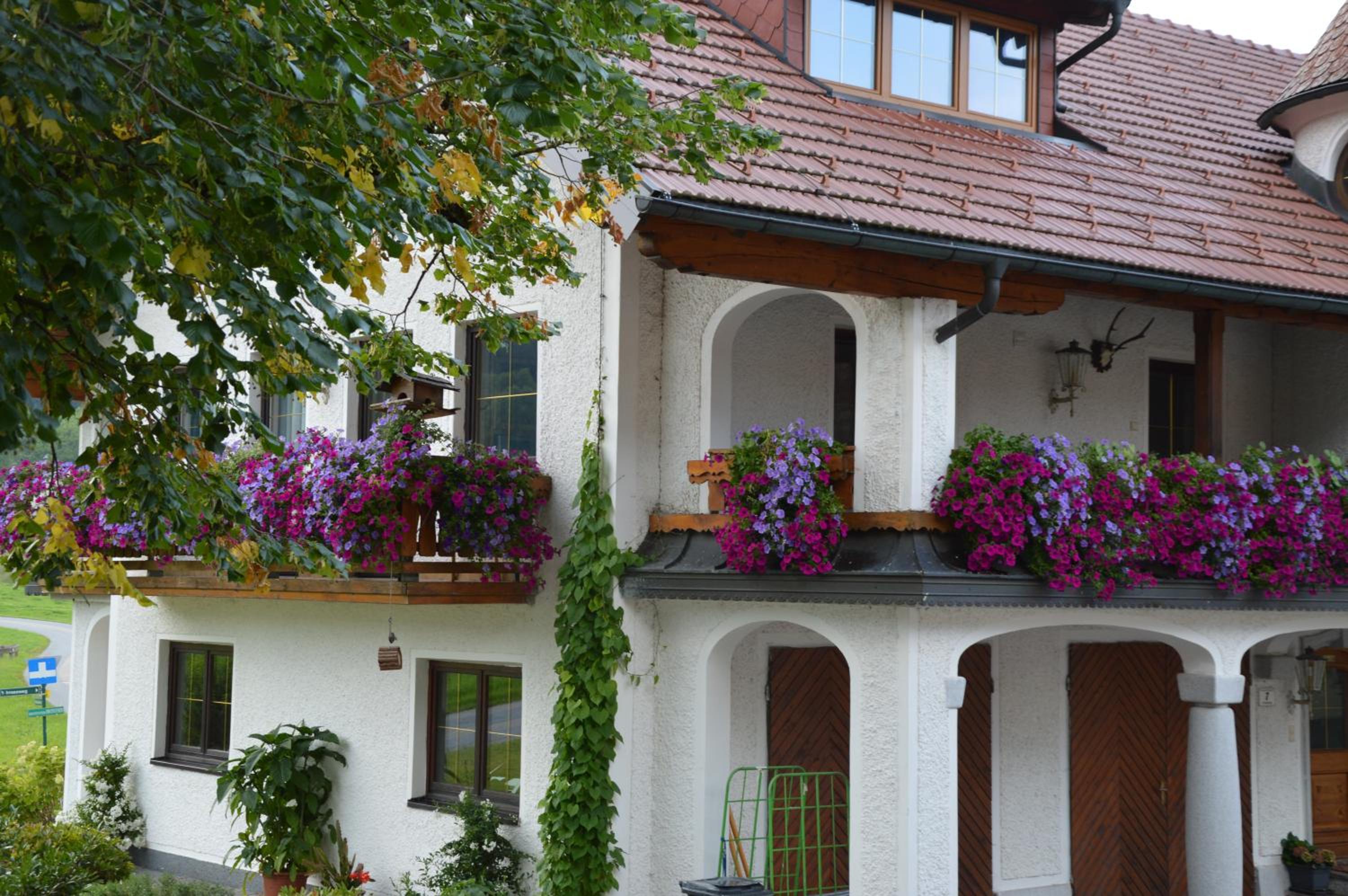 Pension Zenzlgut