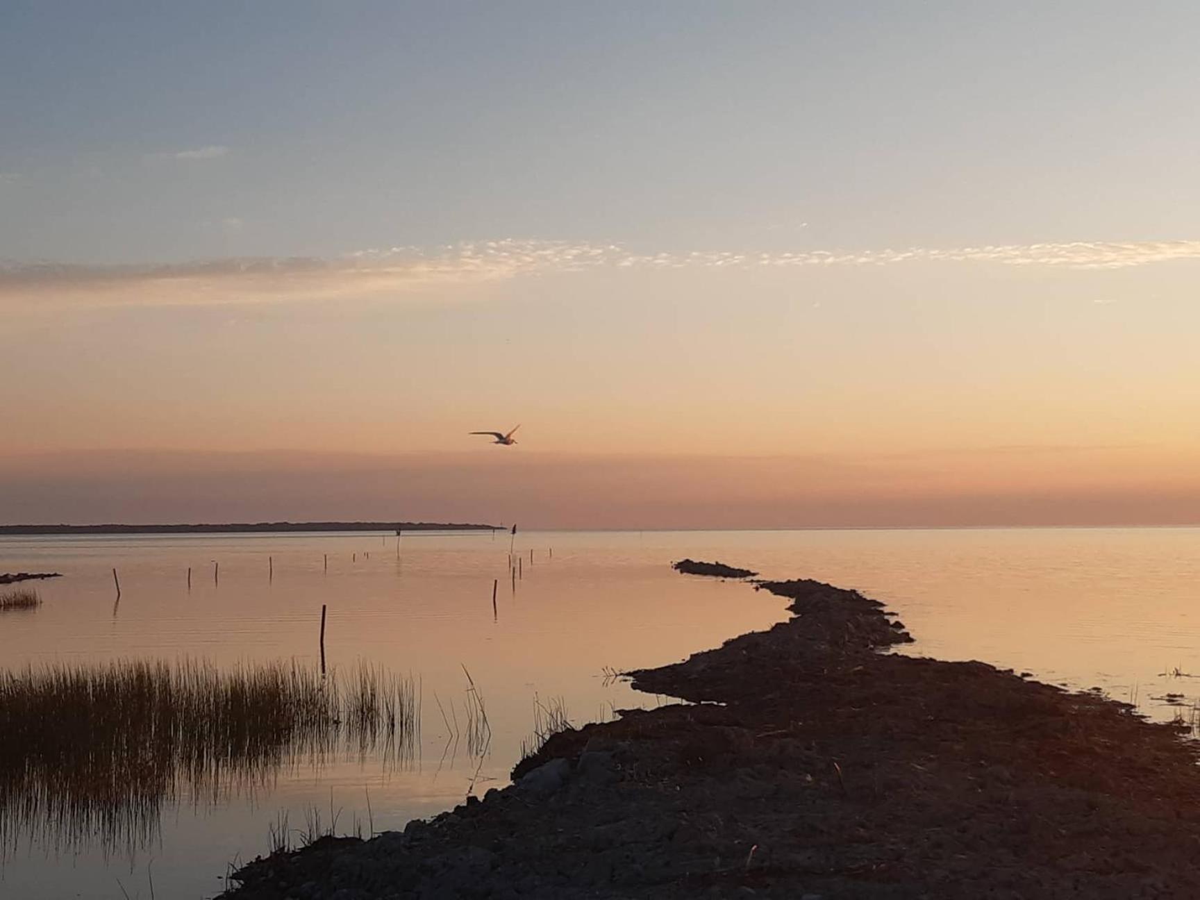 Elamusmajutus Intsu Võrgukuuris