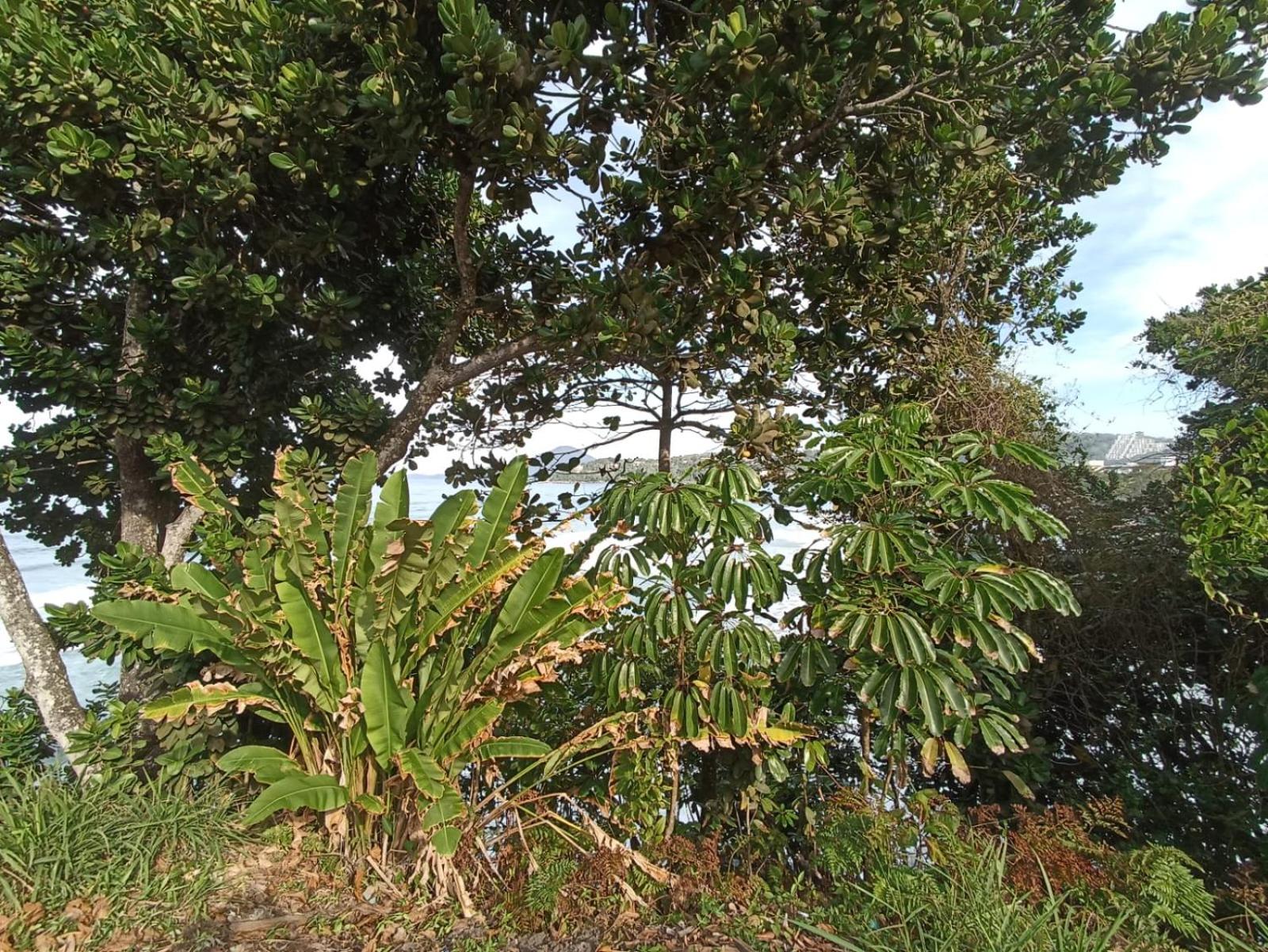 Photo 46