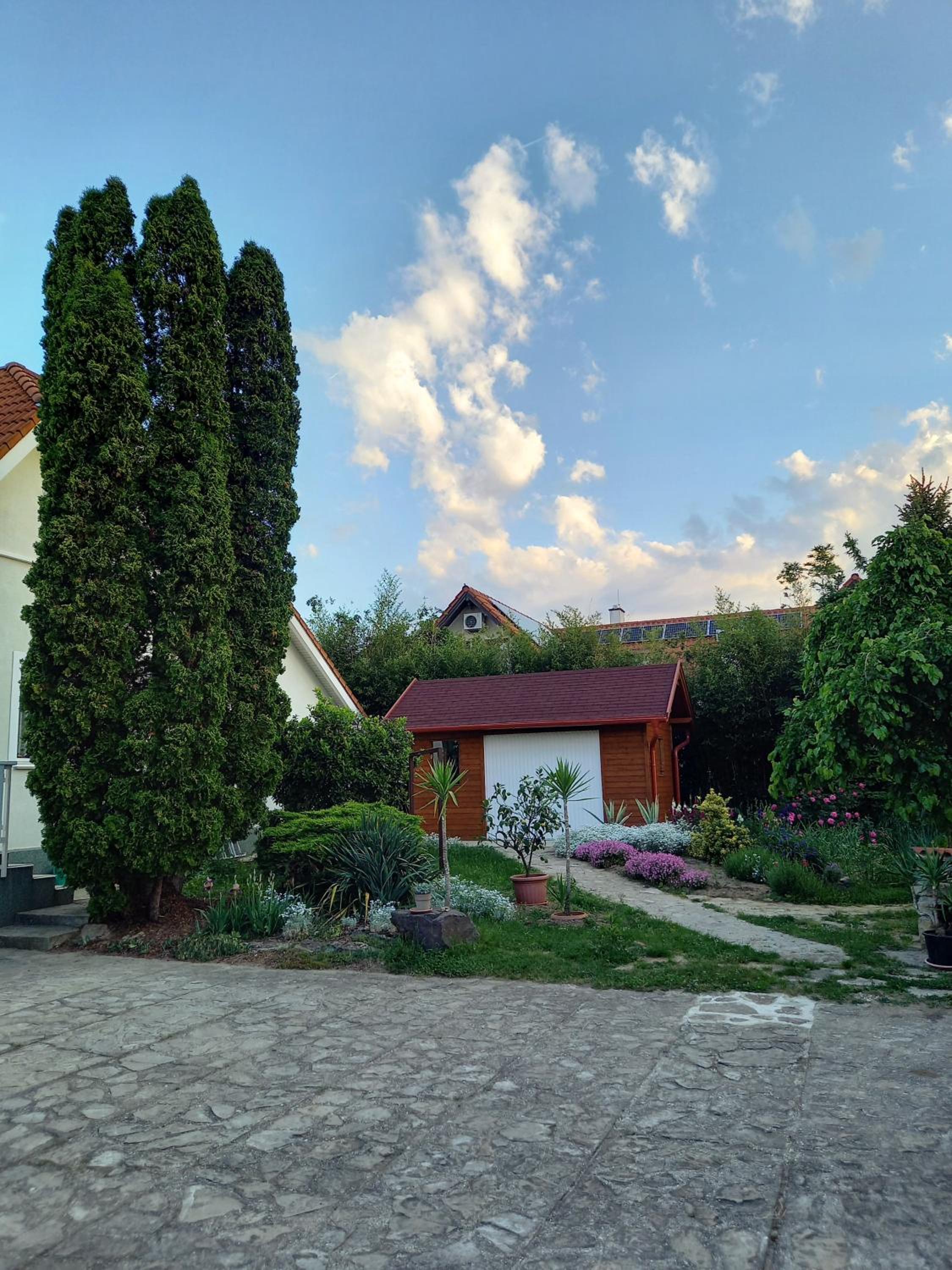 Photo 38