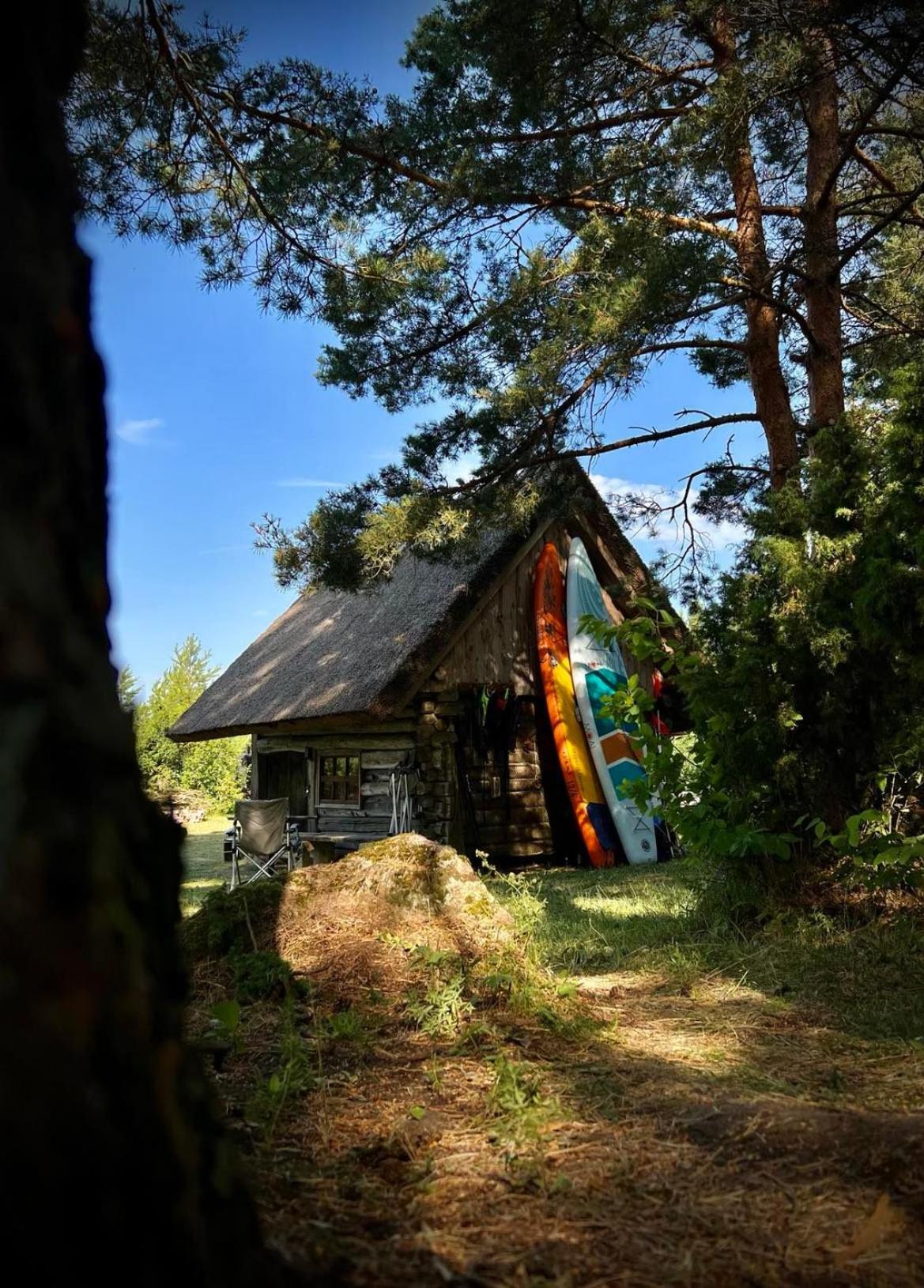 Elamusmajutus Intsu Võrgukuuris