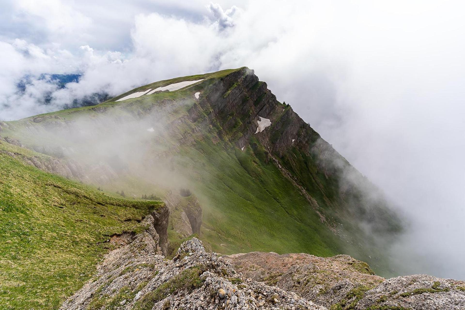 Grünes Allgäu