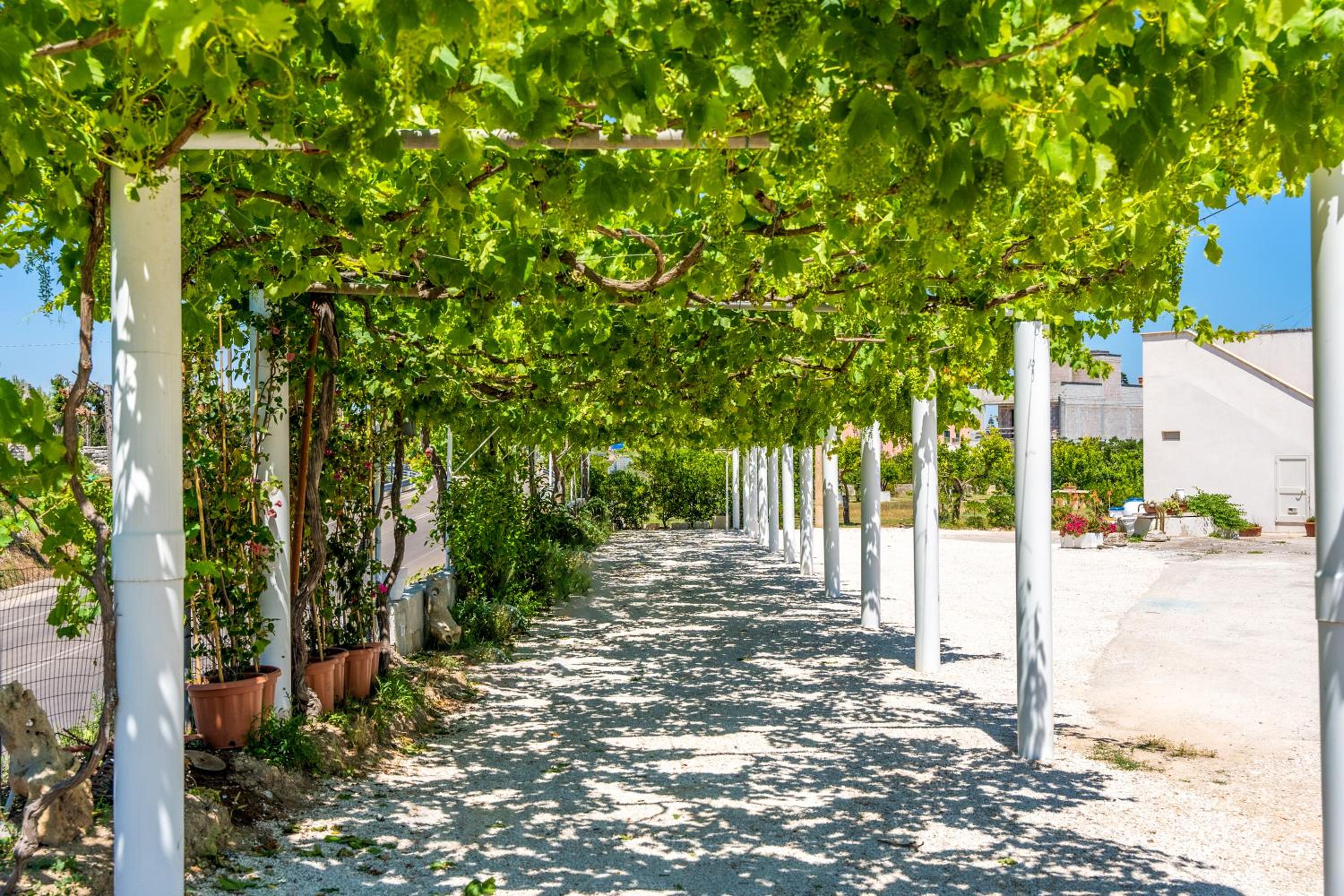 Murieri Rooms photo 4