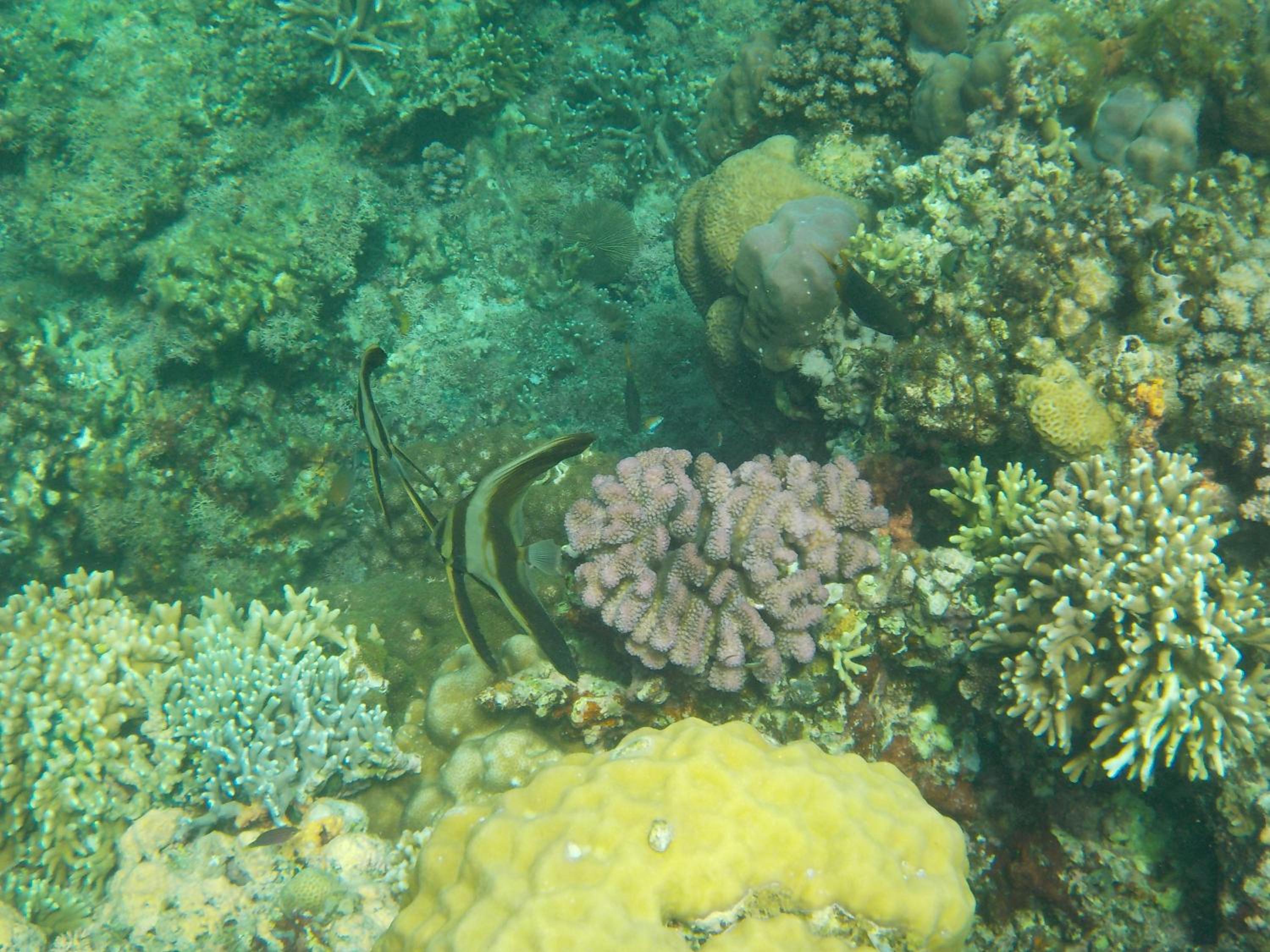 Photo 48
