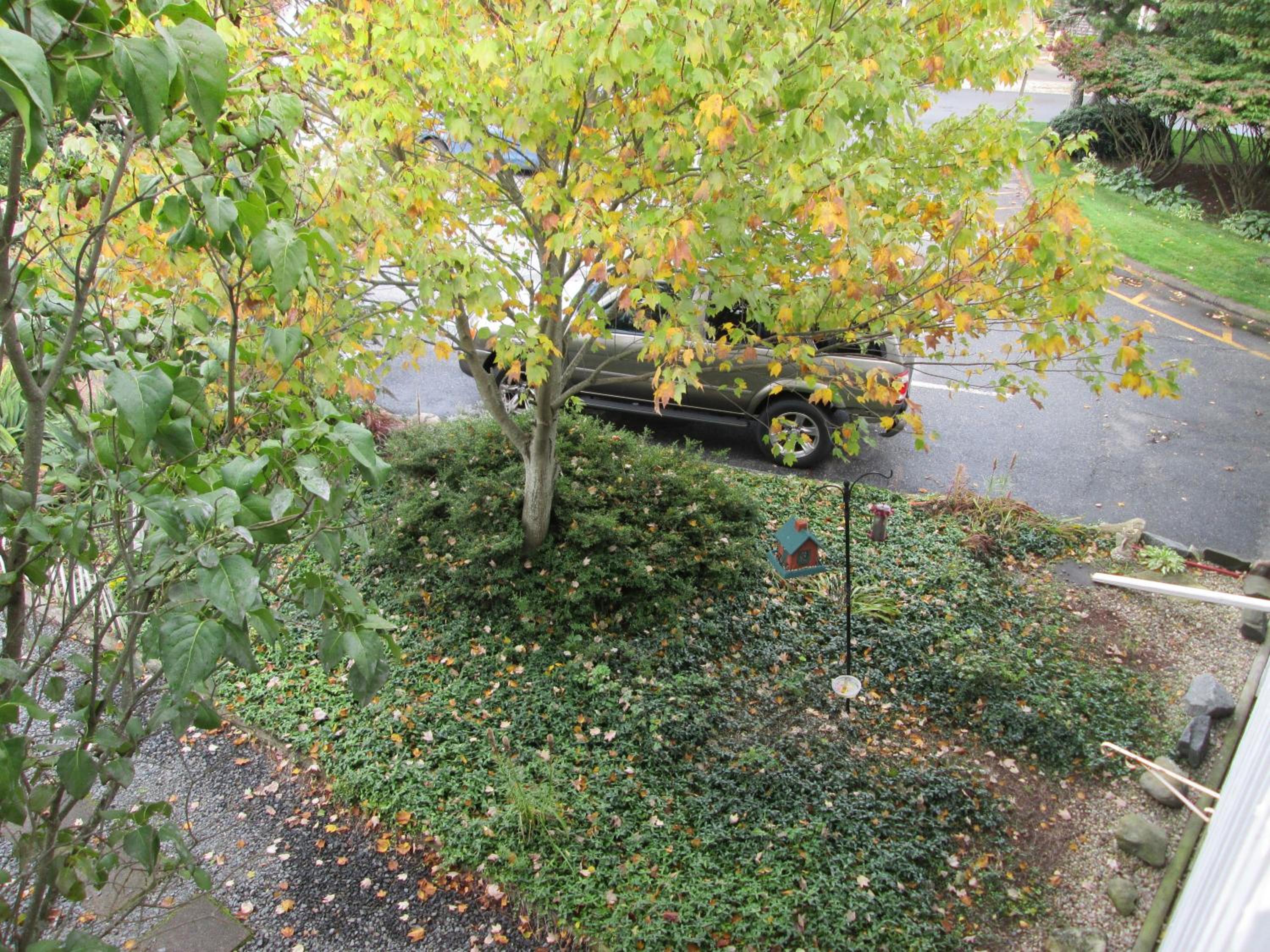Photo 18
