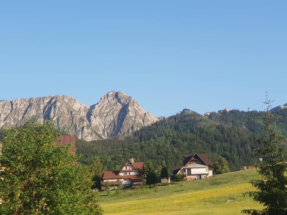 Photo 46