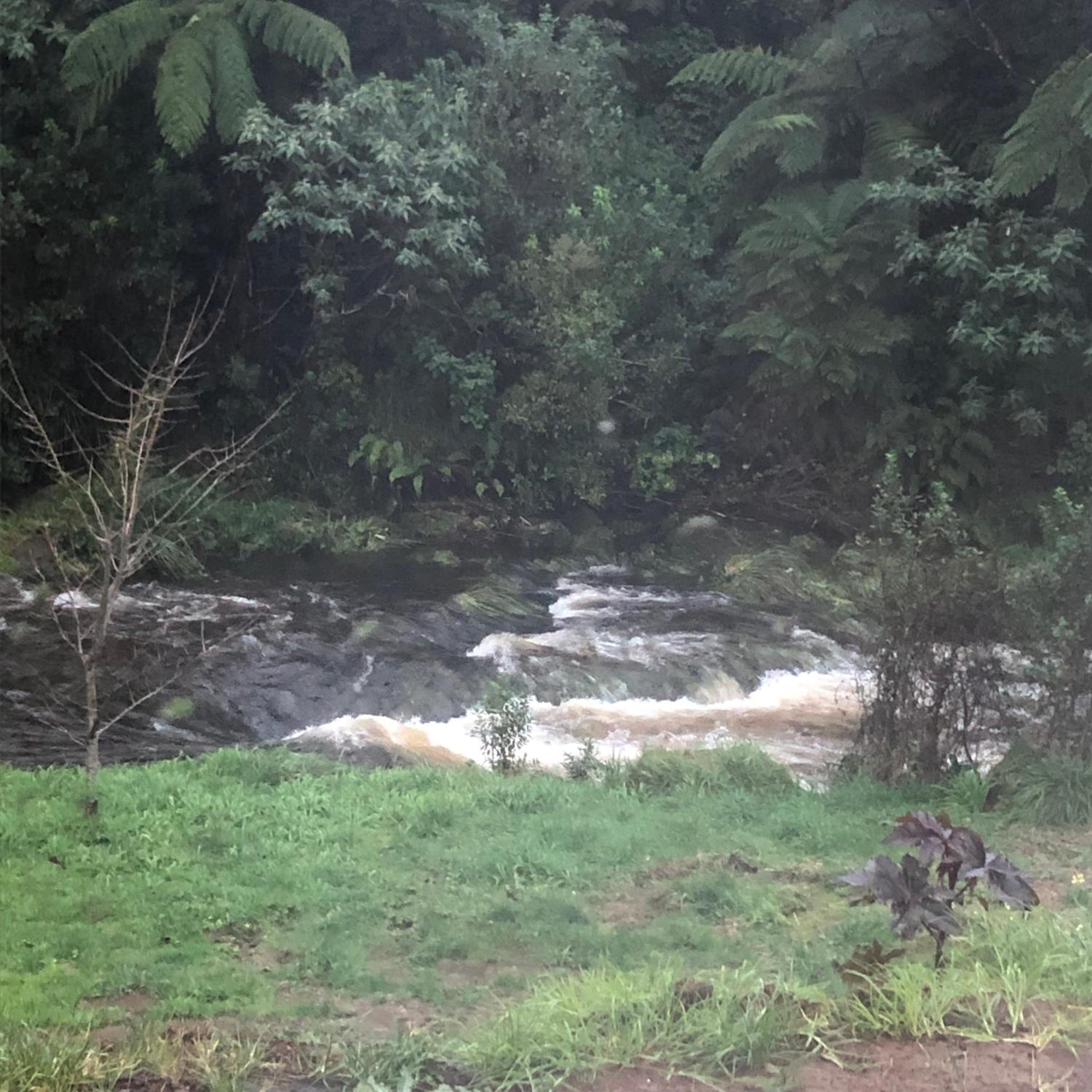 Photo 38