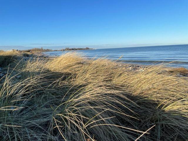Strandgaenger-Hohwacht