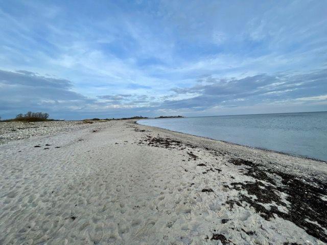 Strandgaenger-Hohwacht