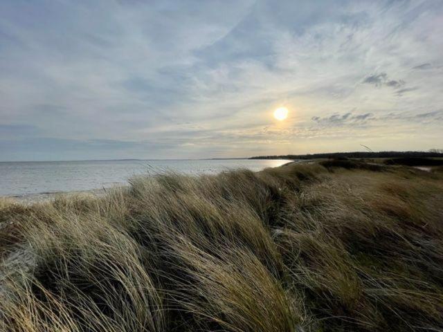 Strandgaenger-Hohwacht