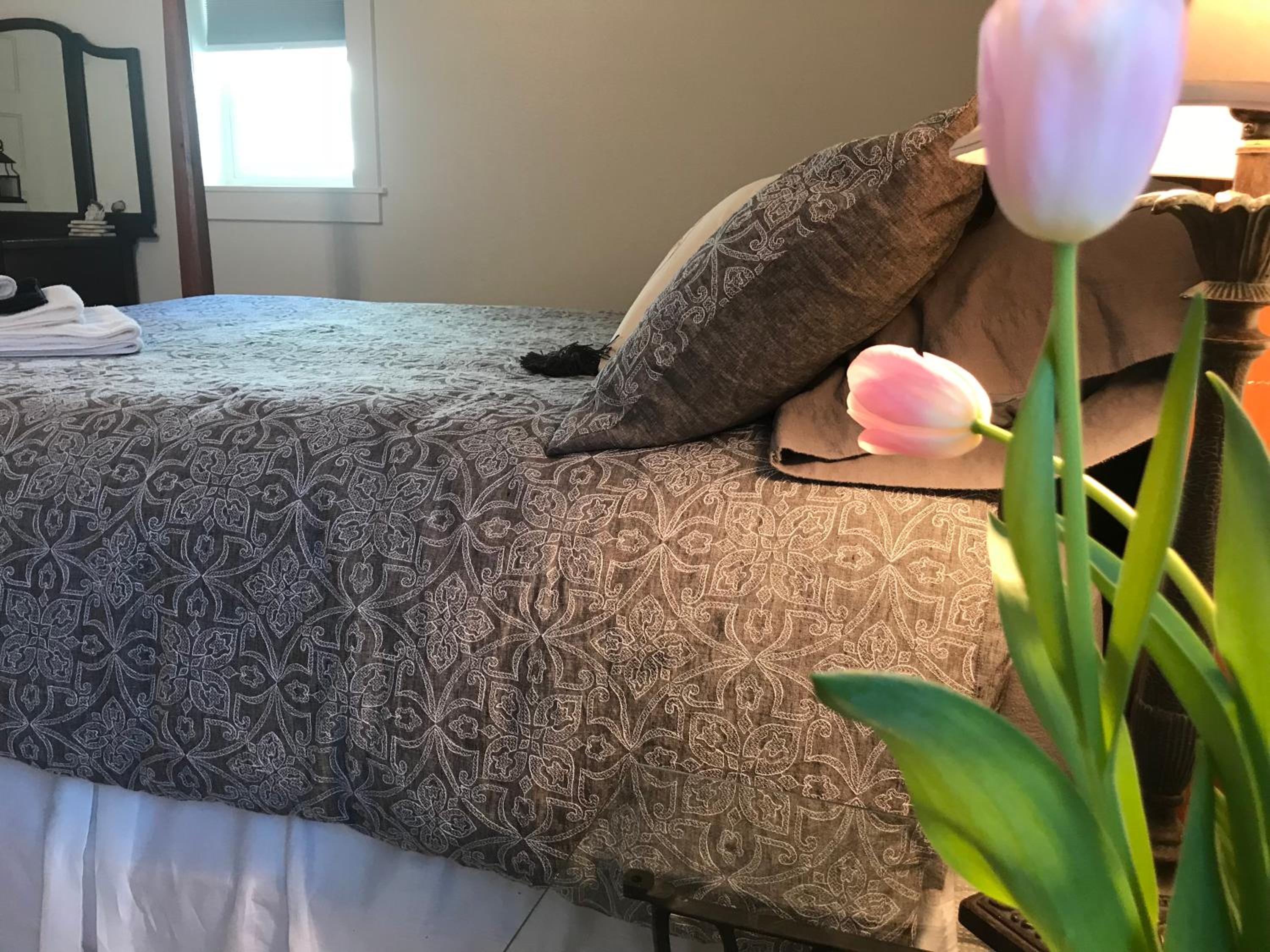 Snowgoose Pond Bed & Breakfast