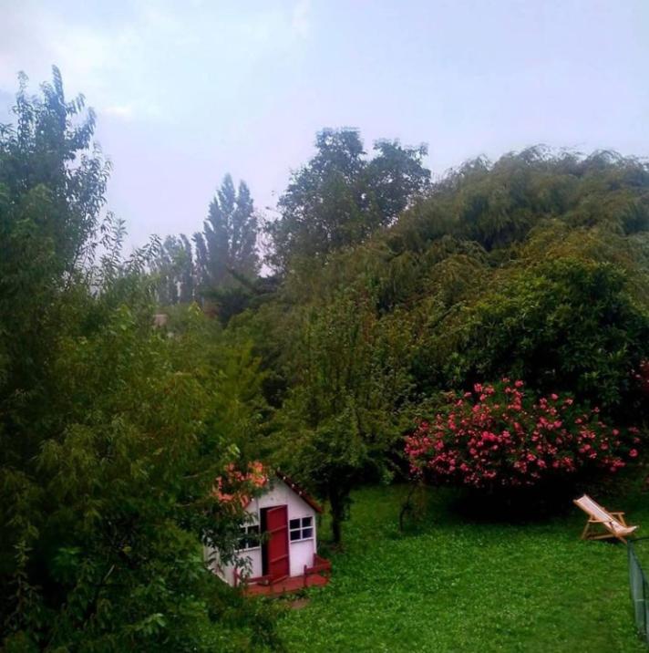 Photo 27
