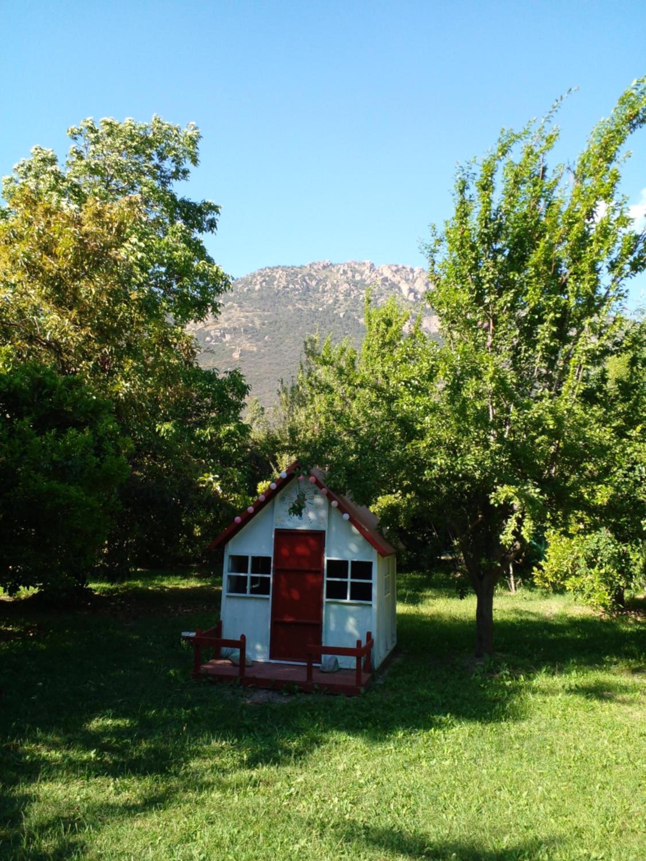 Photo 38