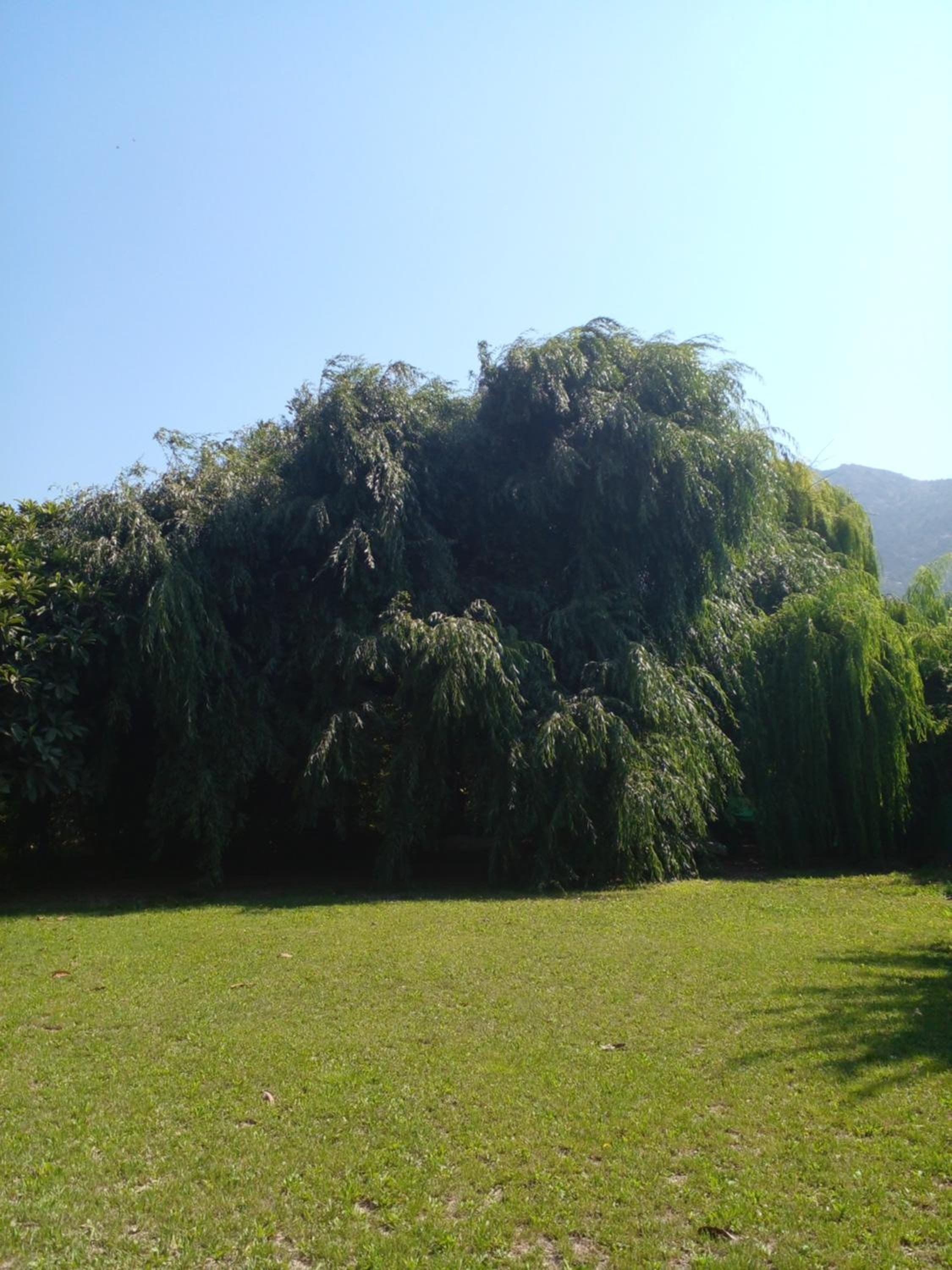 Photo 43