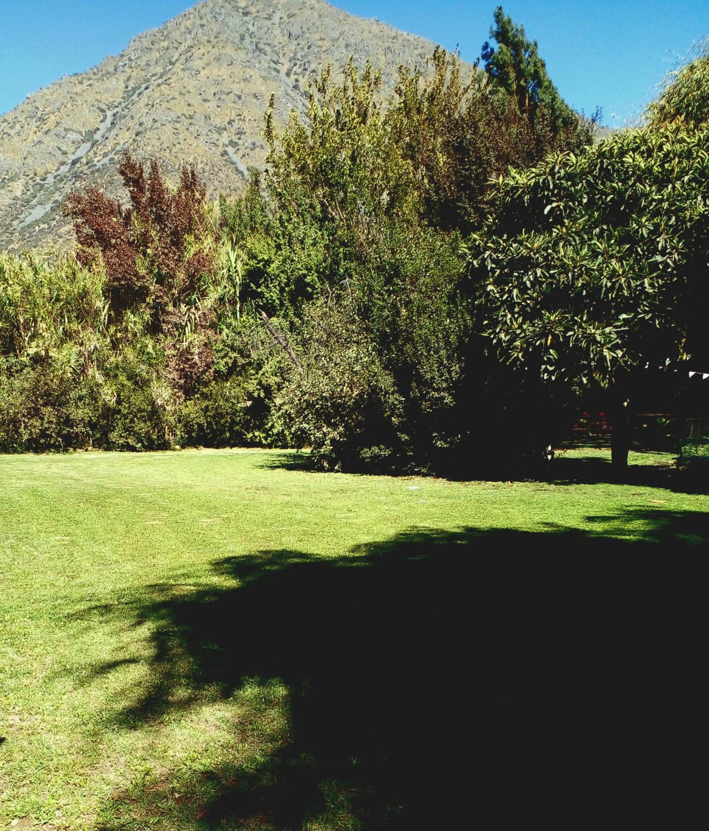 Photo 44