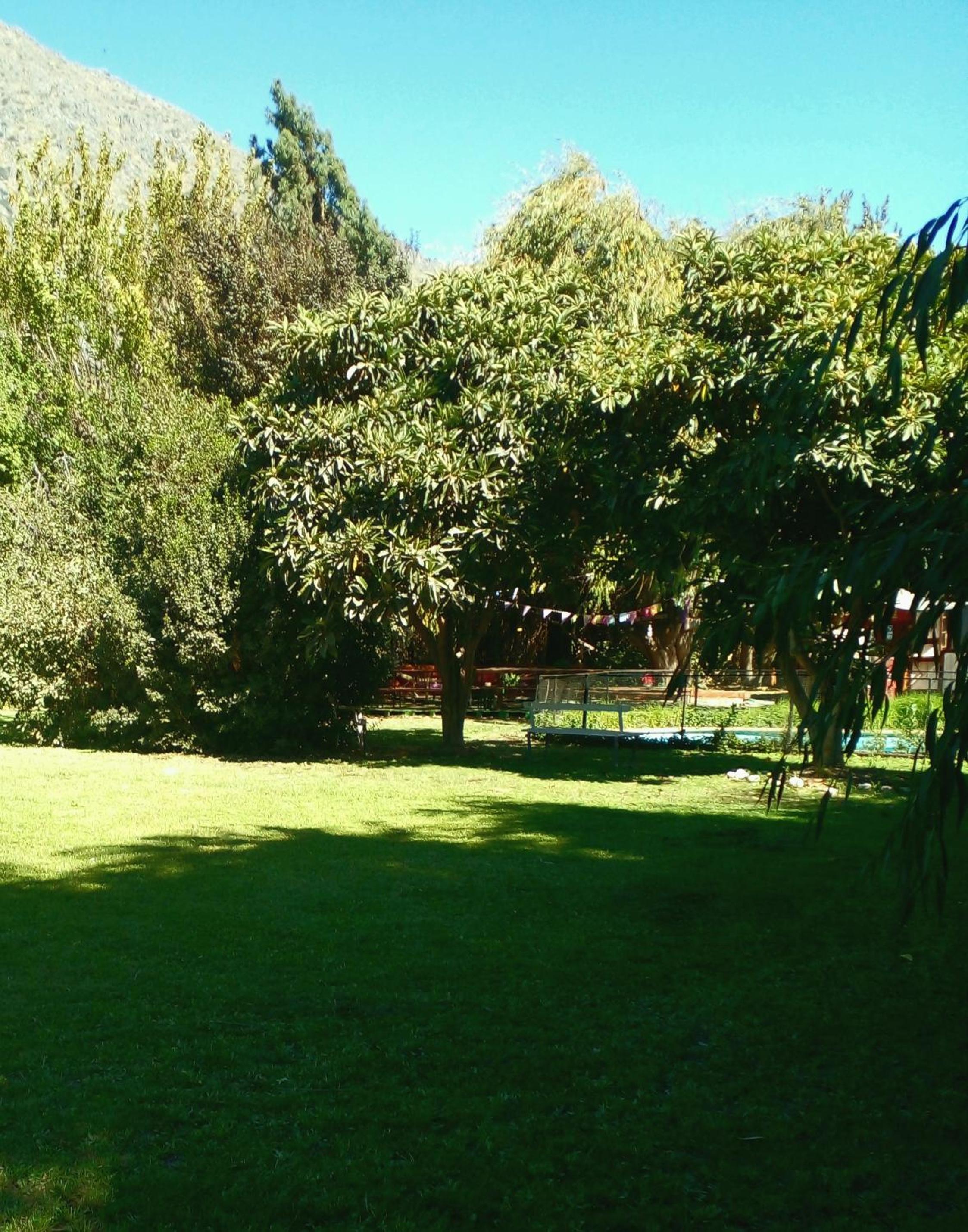 Photo 48