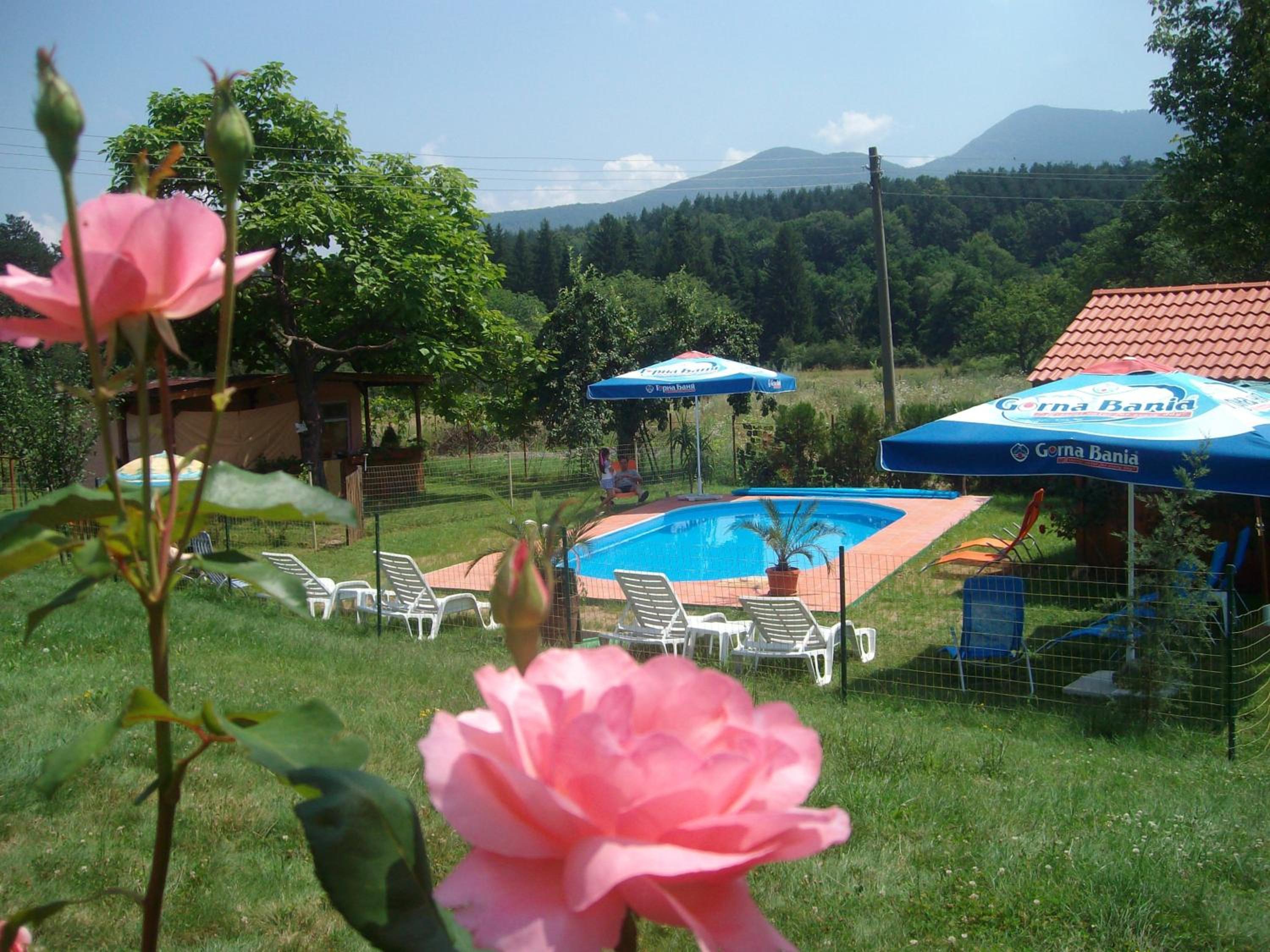 Sveti Georgi Family Hotel
