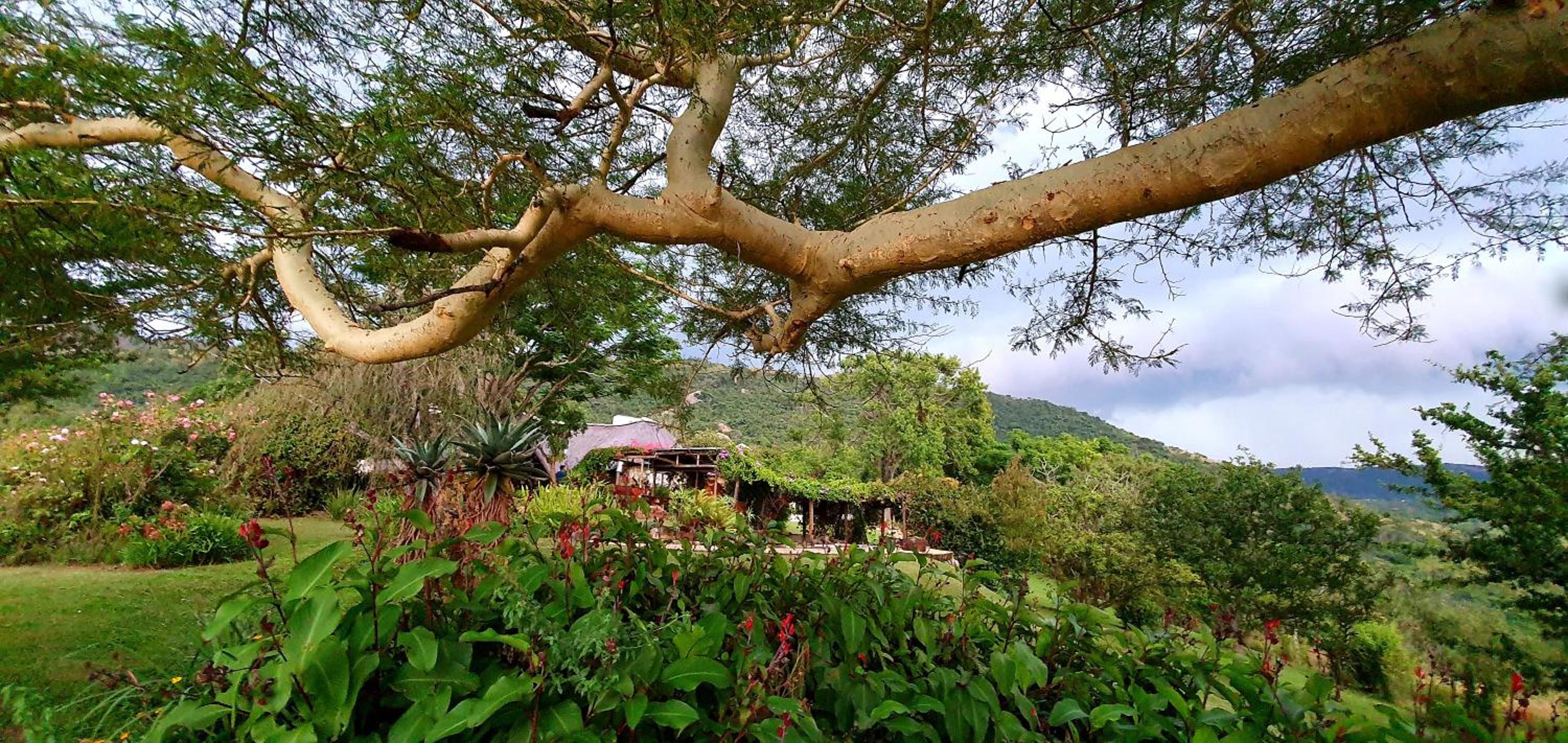 Wide Horizons Mountain Retreat