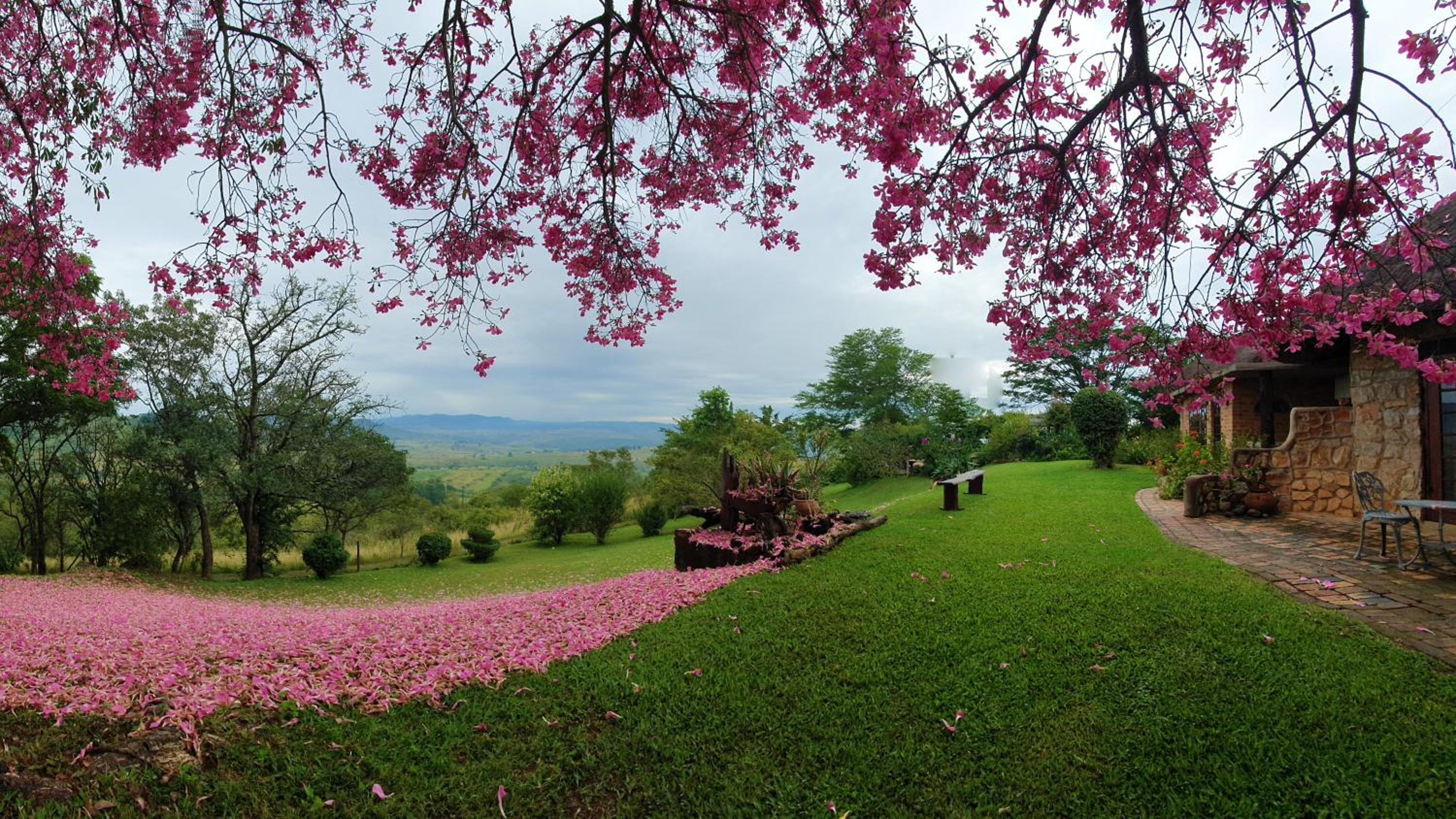 Wide Horizons Mountain Retreat