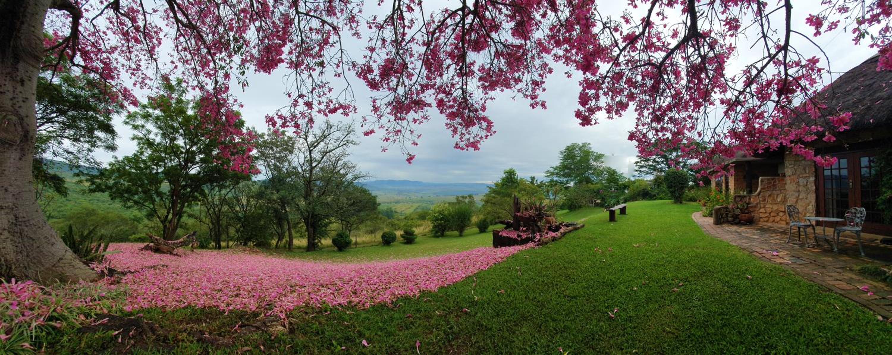 Wide Horizons Mountain Retreat