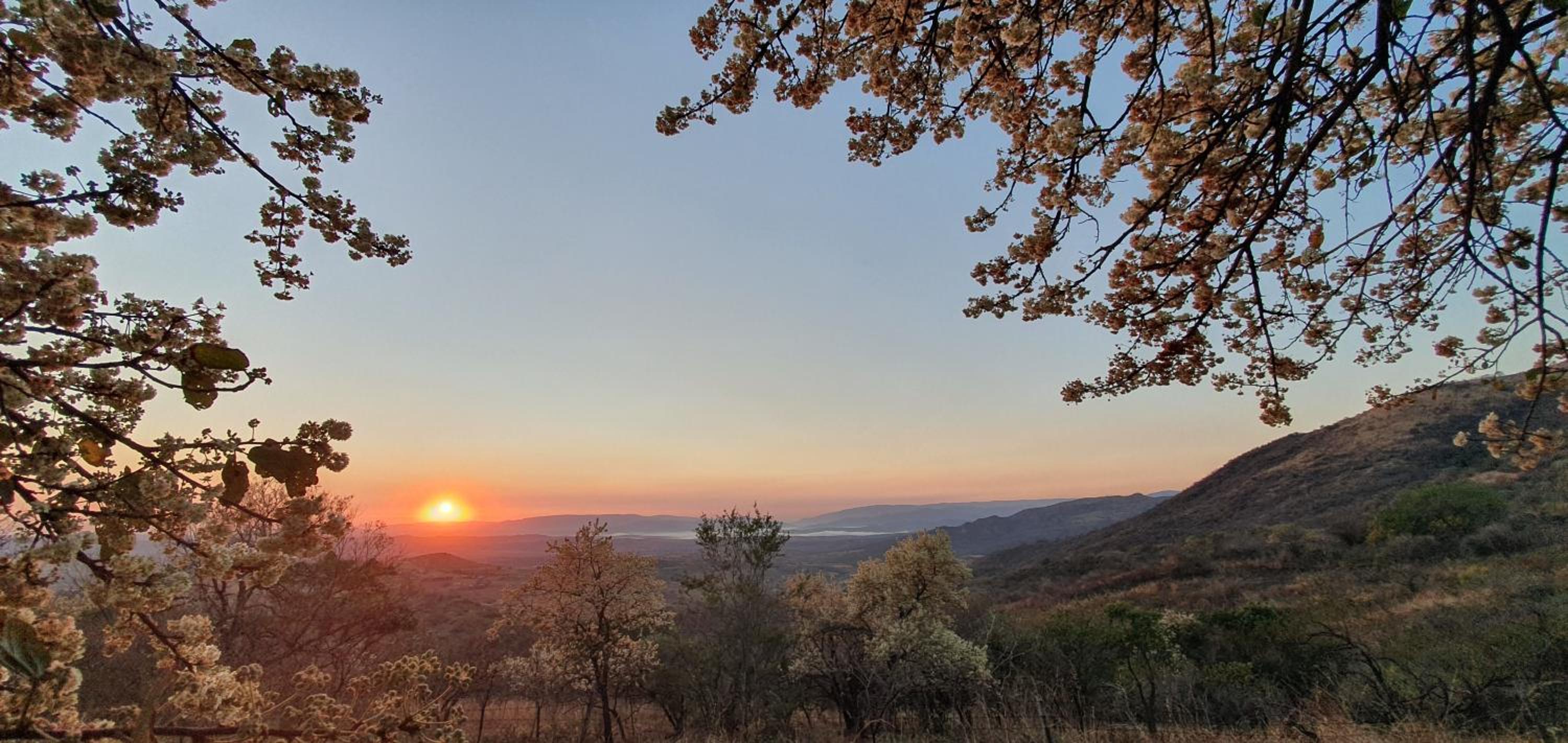 Wide Horizons Mountain Retreat