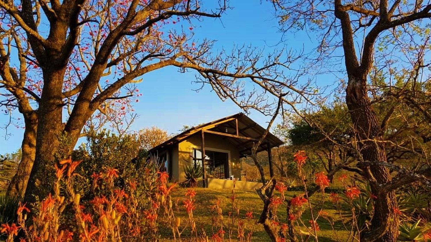 Wide Horizons Mountain Retreat