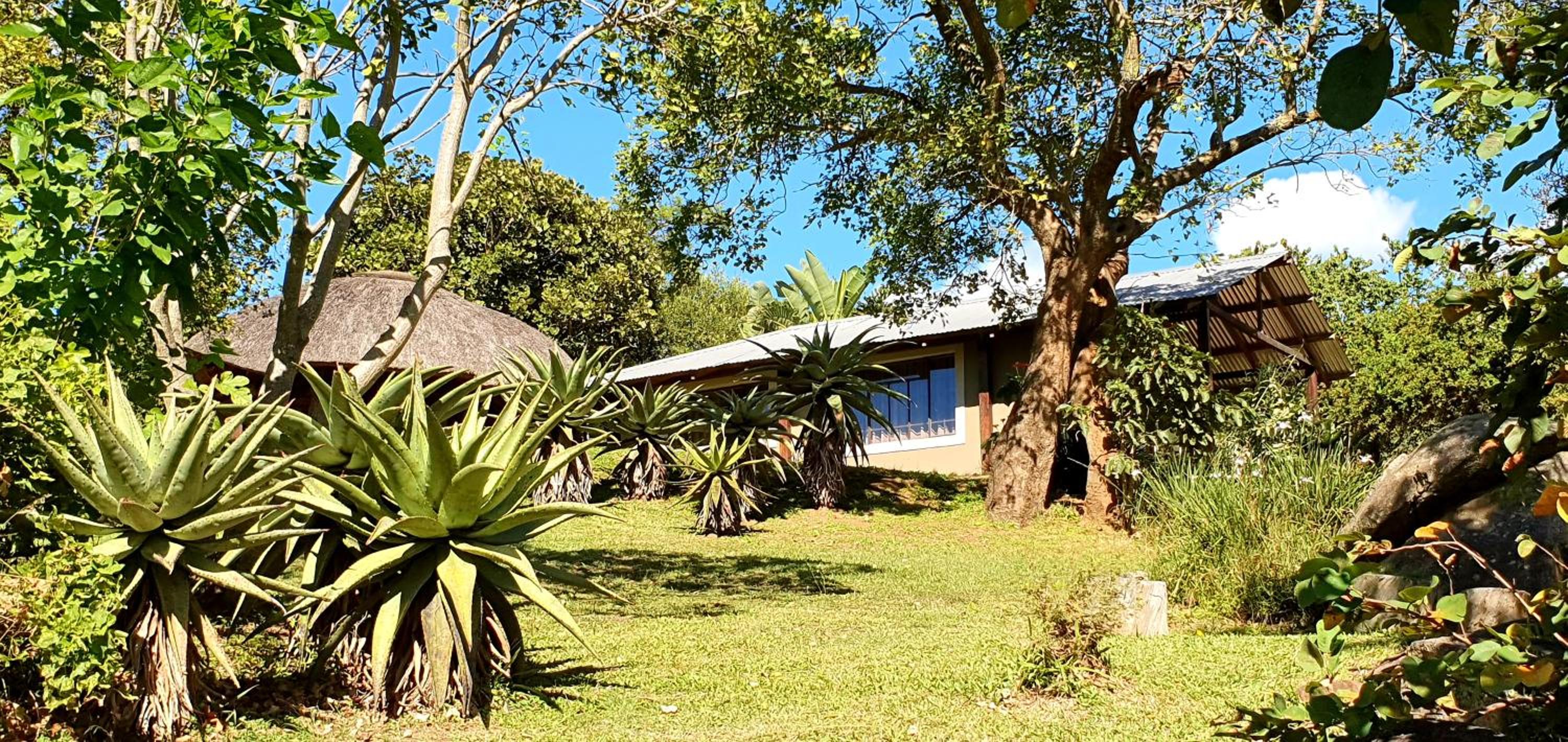 Wide Horizons Mountain Retreat