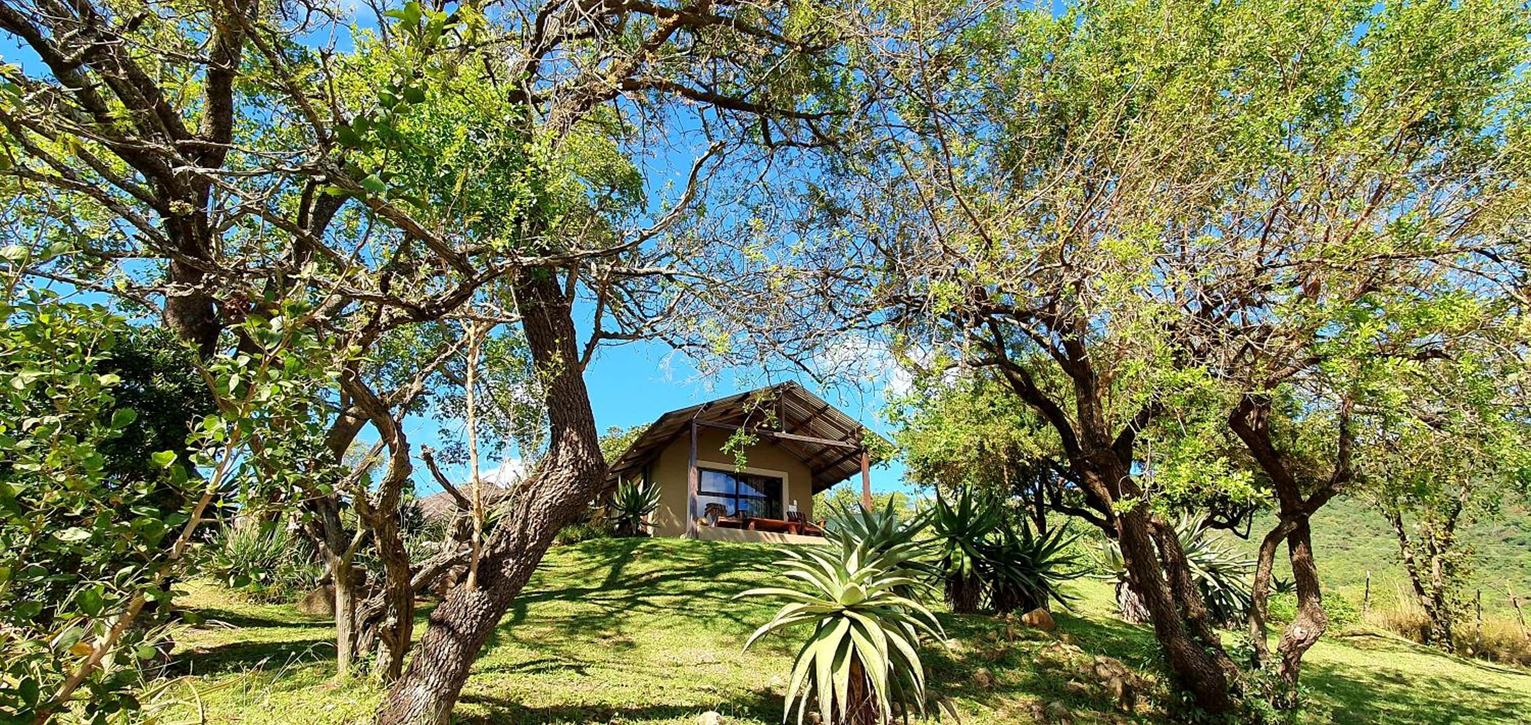 Wide Horizons Mountain Retreat