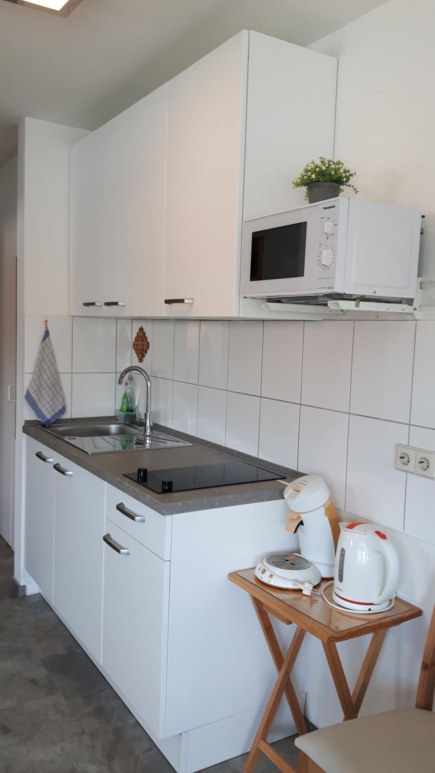 Ludwig Apartment view 3