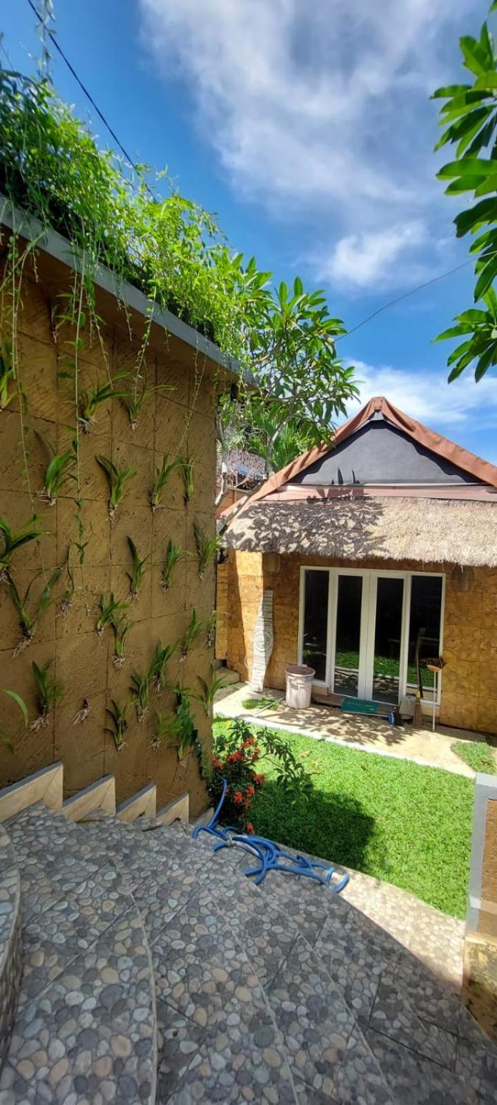 Bulan Bali Guest House view 2