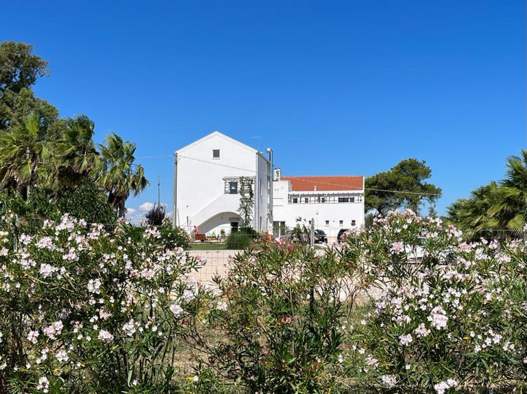 Agriturismo Masseria Cannella