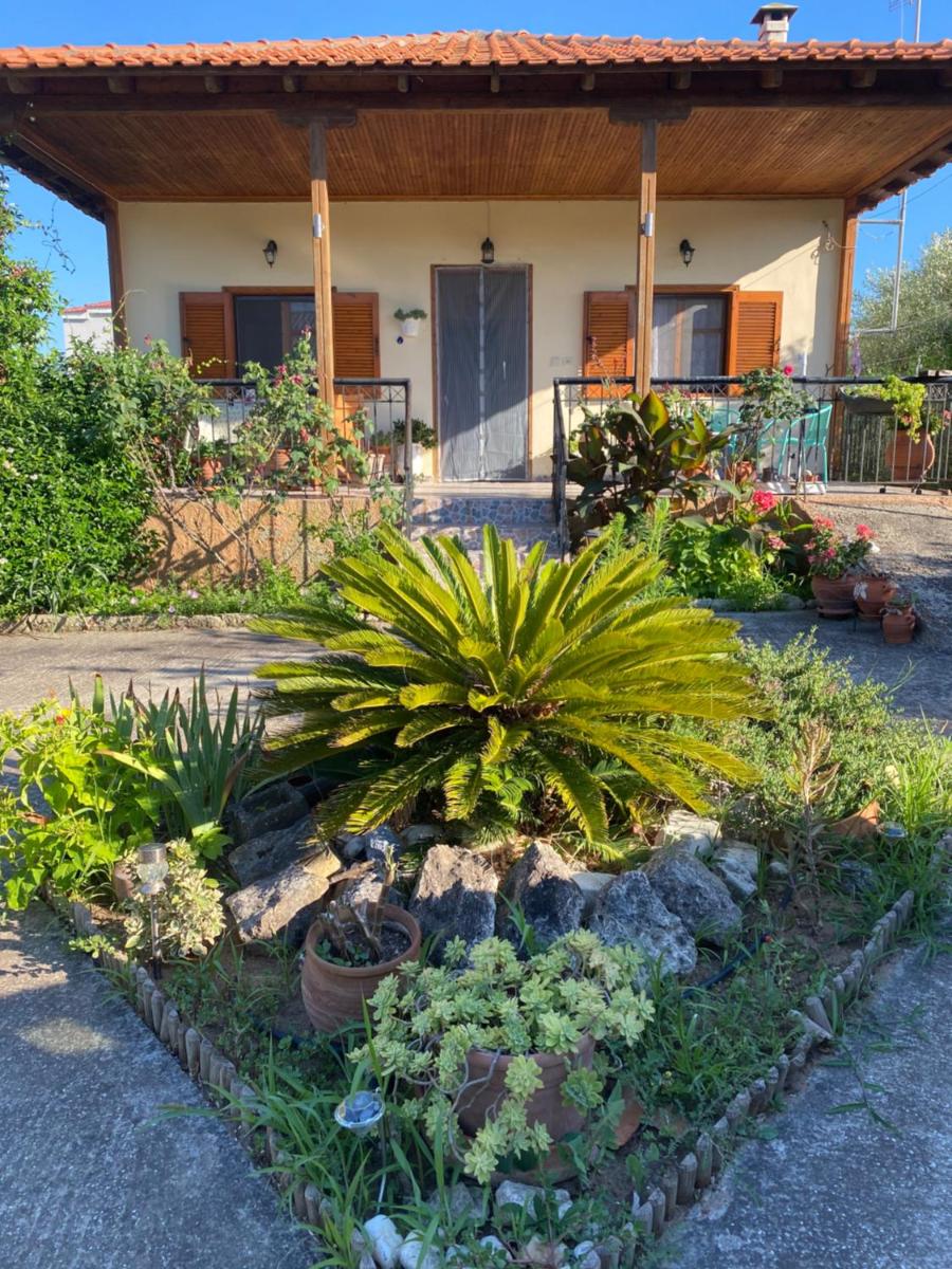 Dora’s Summer House