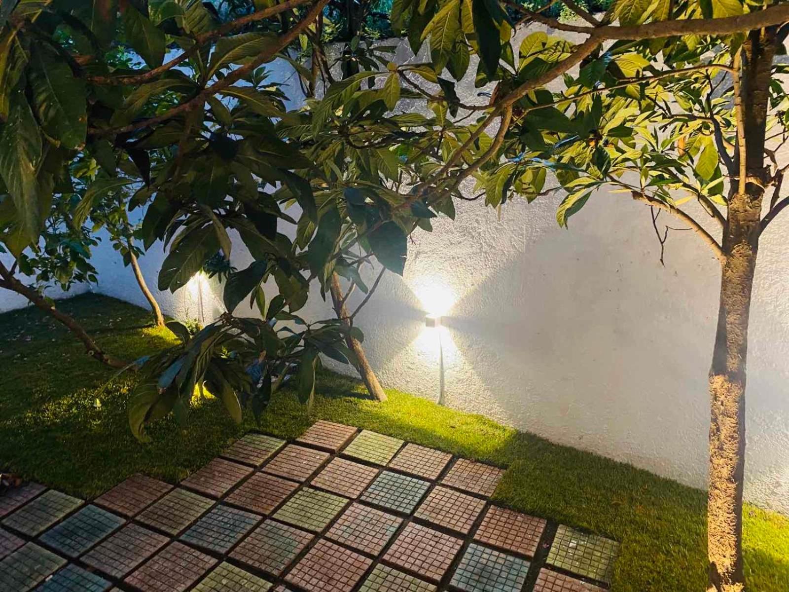 garden