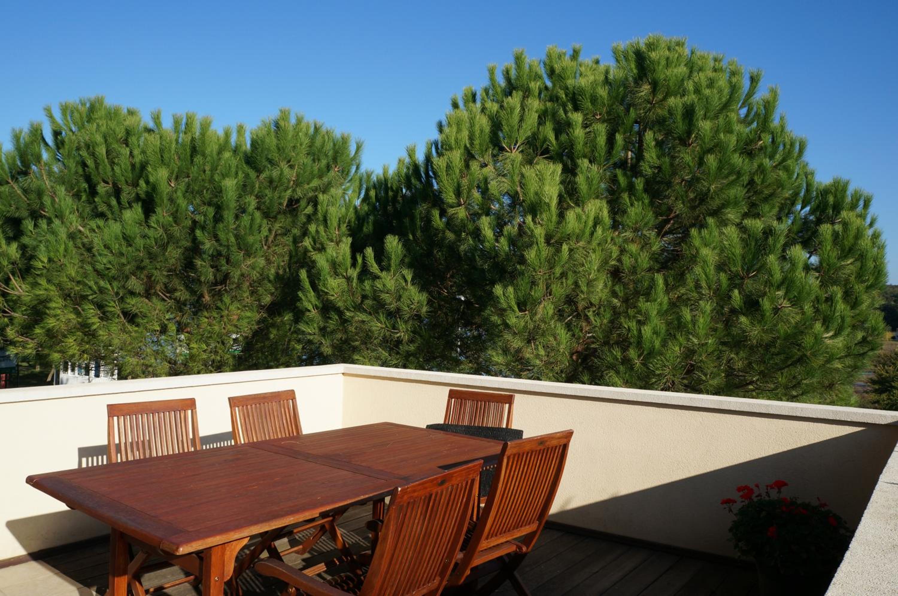 Apartments Rea view 4