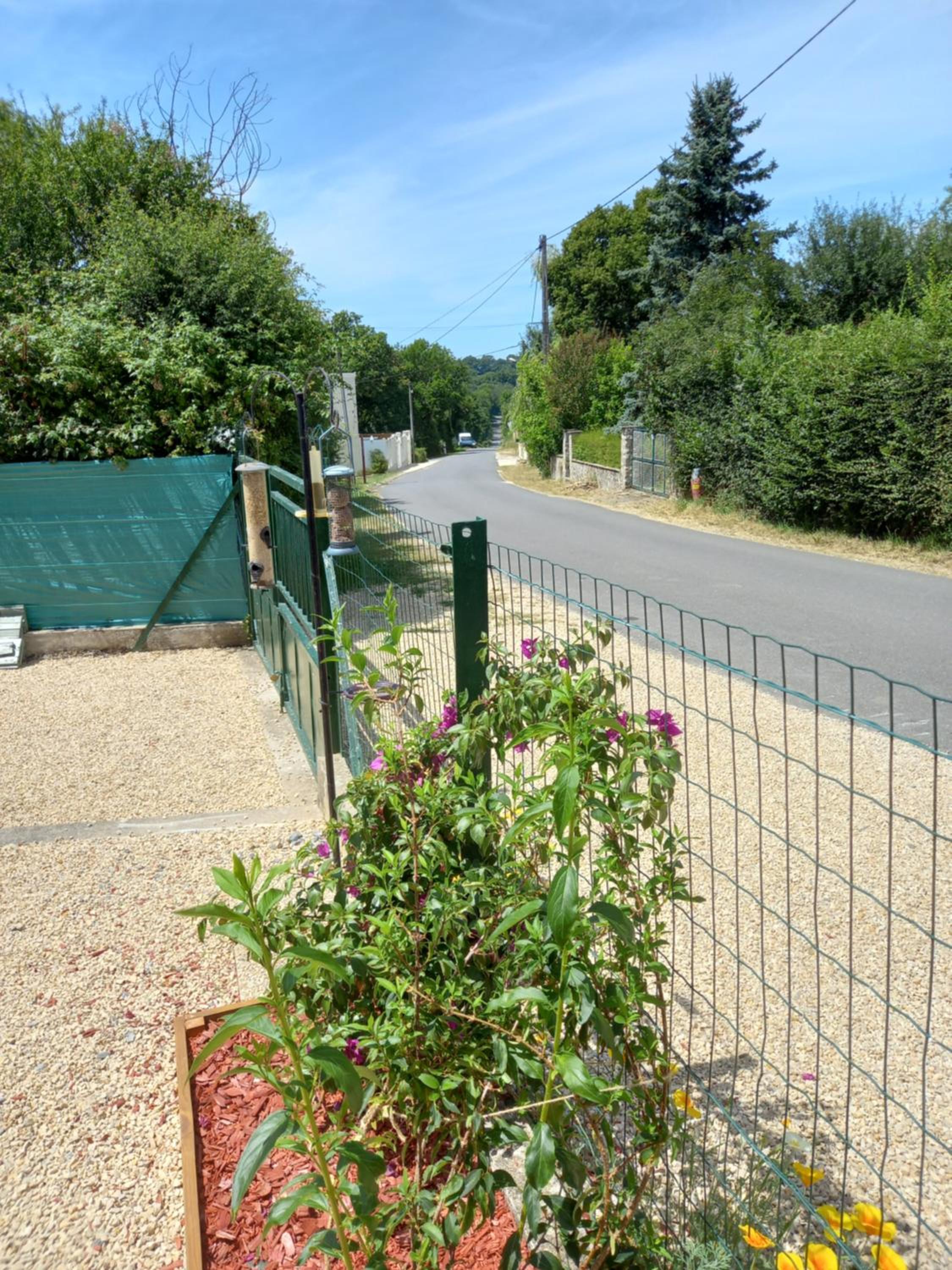 Photo 6