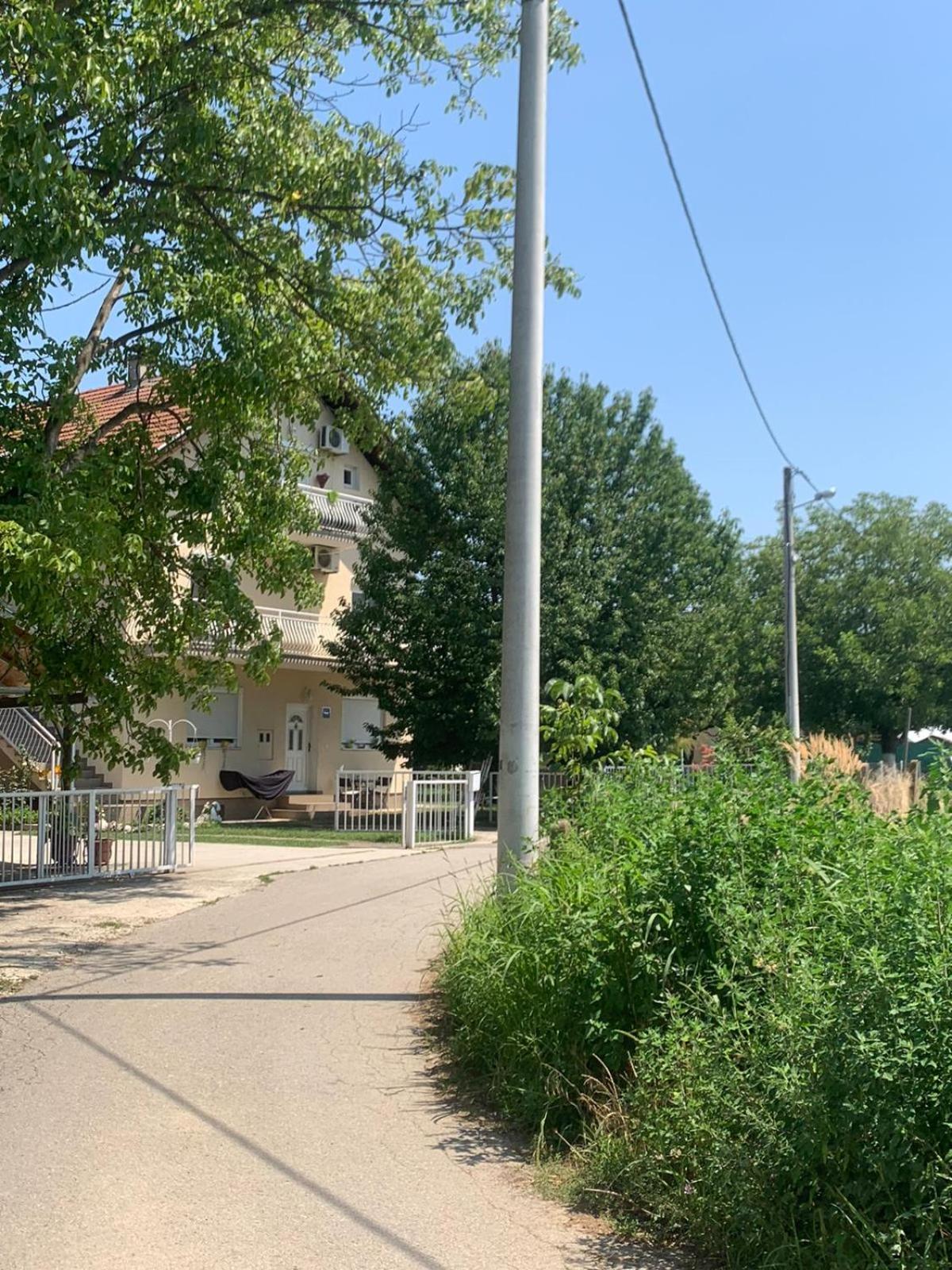 Photo 40